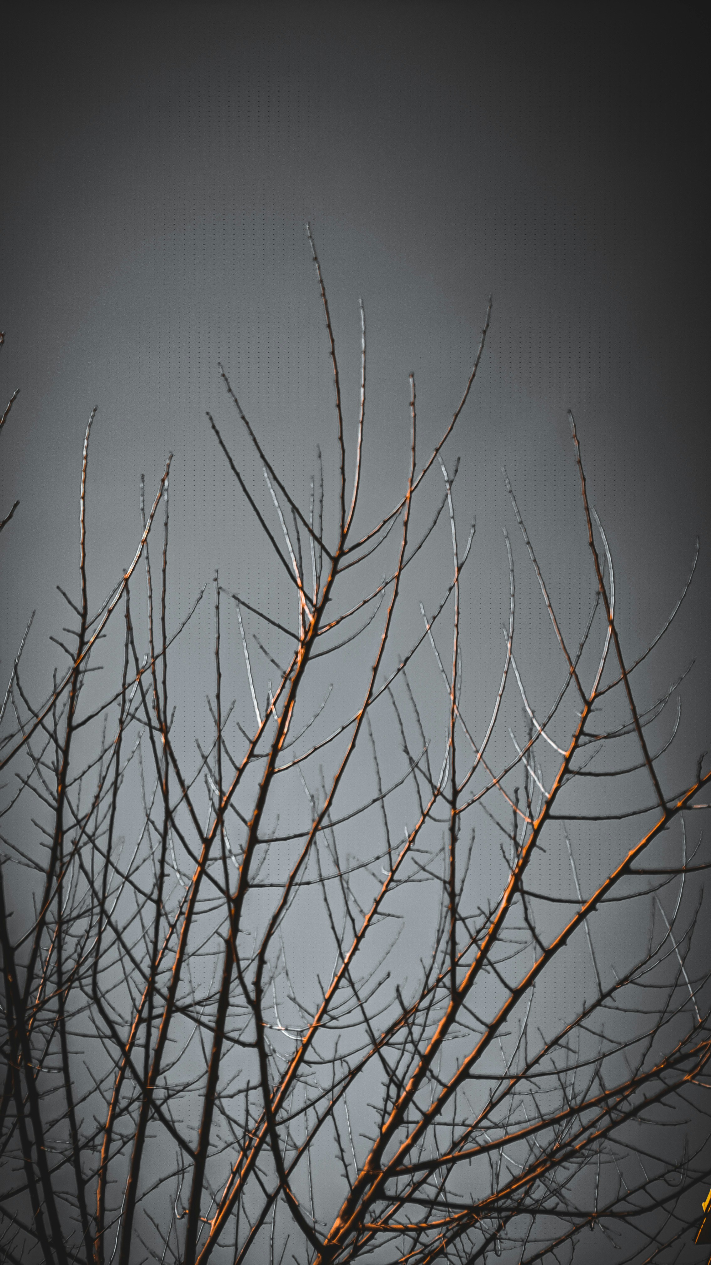 Photo by omar_medhat