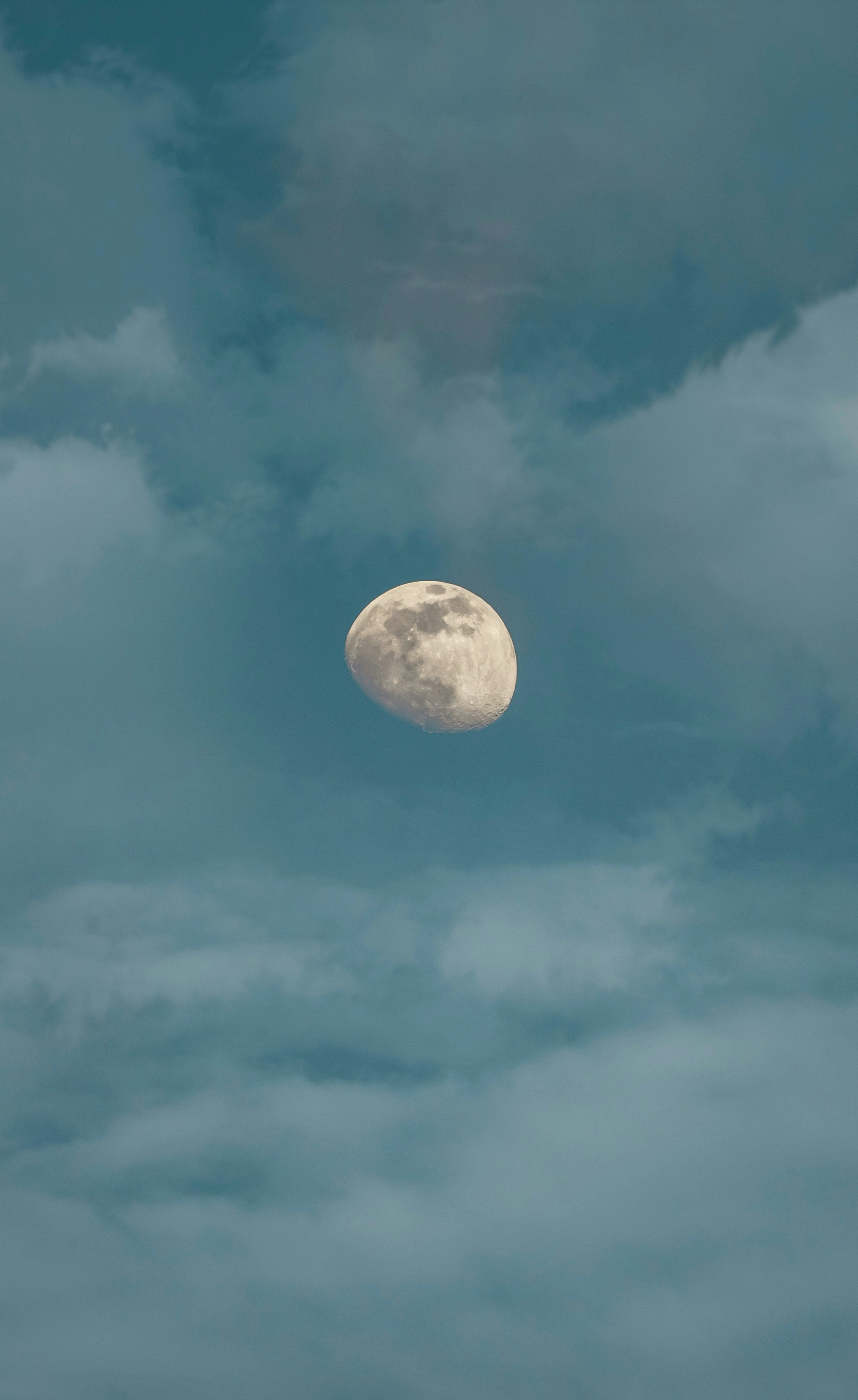 Photo by maxburchill