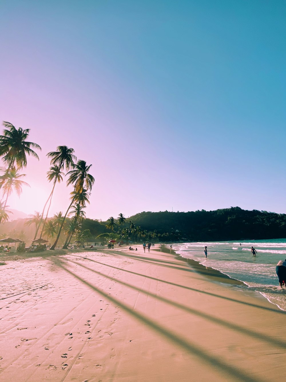 people on beach during daytime