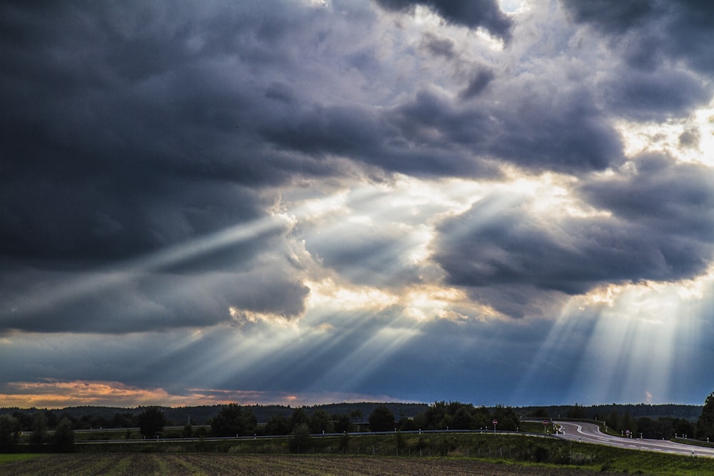 Champ d’herbe verte sous le ciel bleu et les nuages blancs pendant la journée