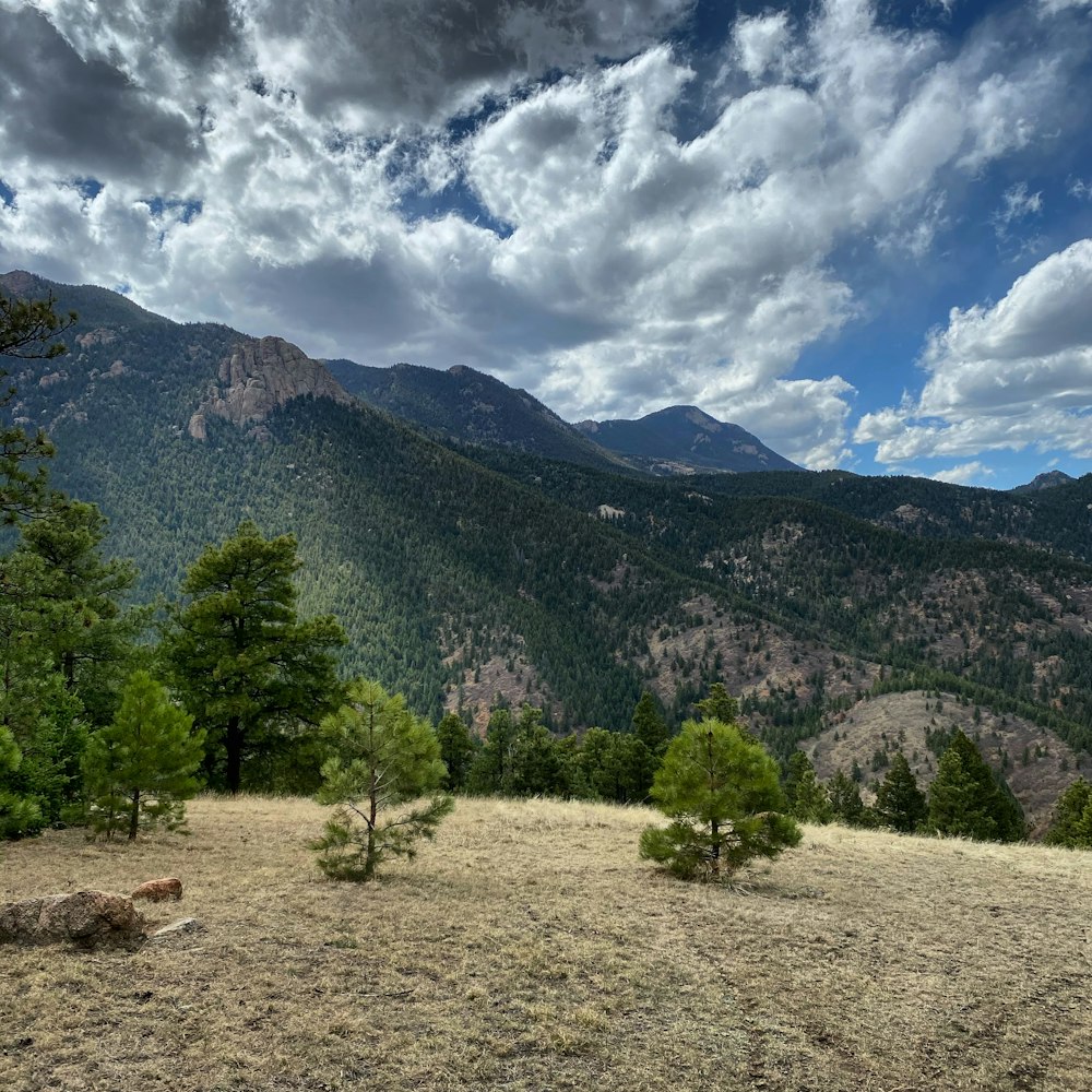 green trees and mountains under white clouds and blue sky during daytime