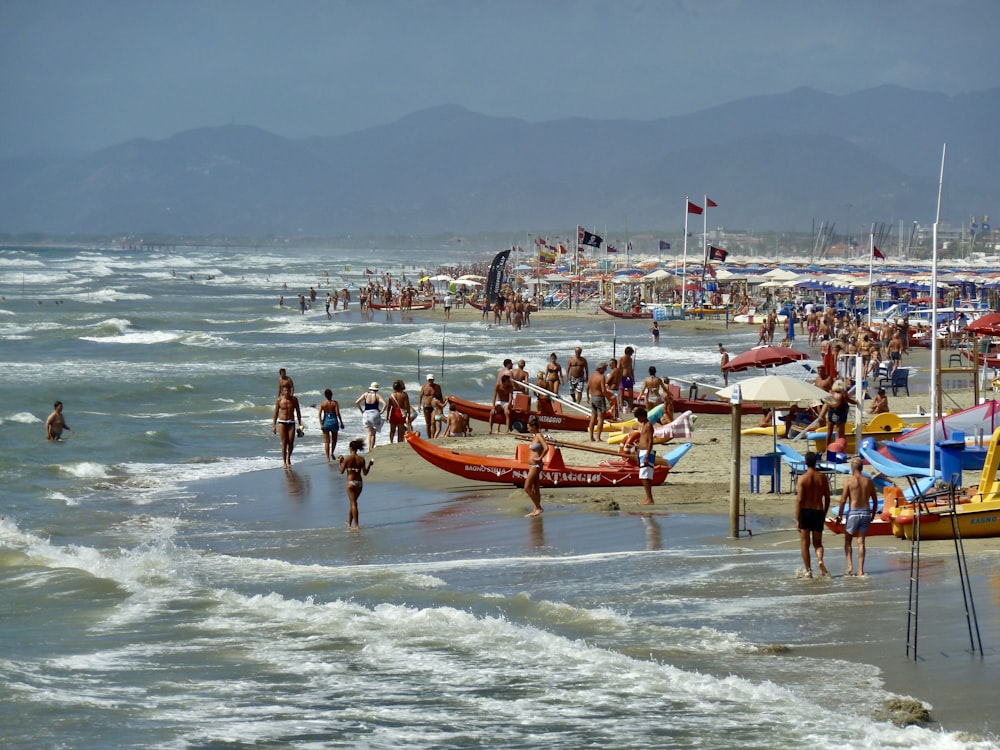 people on beach during daytime