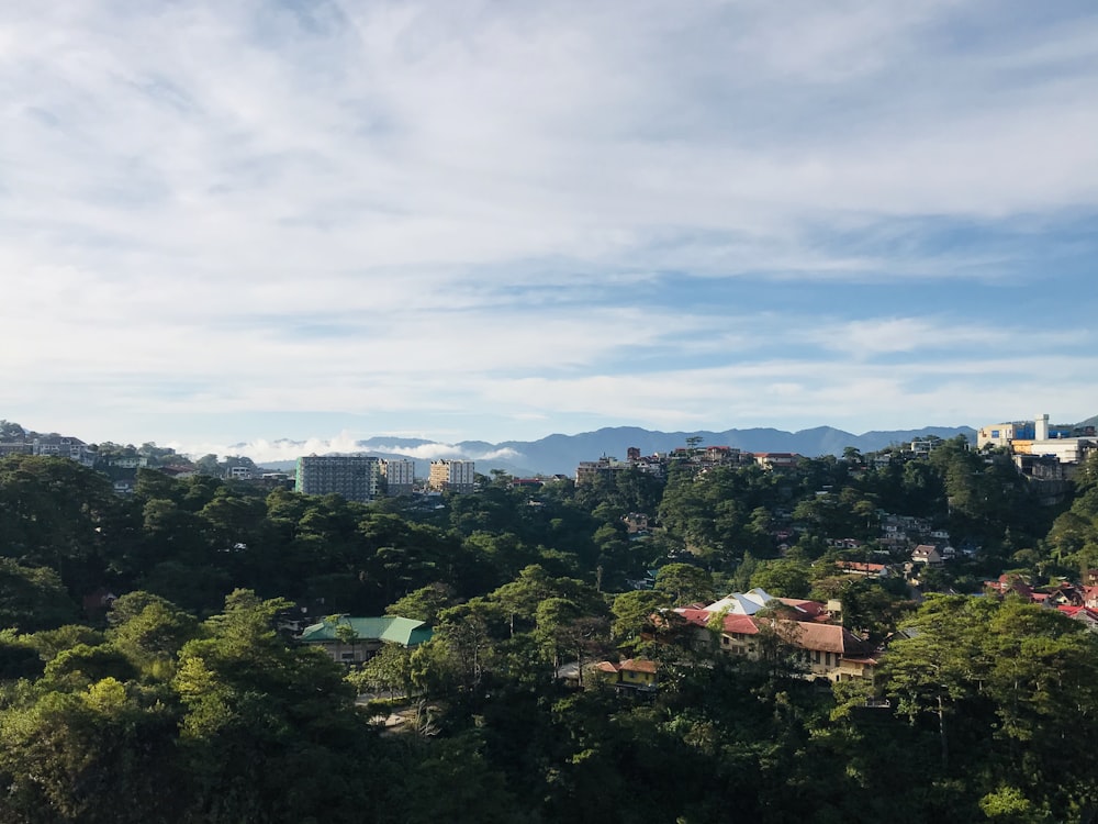 昼間の白い雲の下の緑の木々