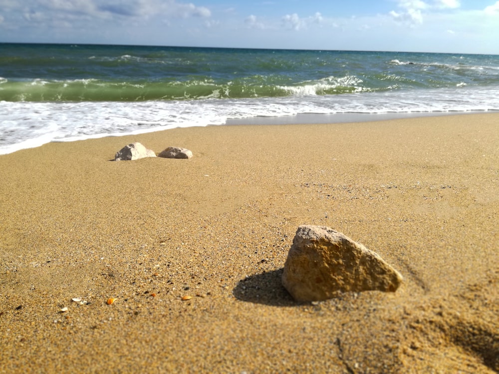 brown rock on beach during daytime