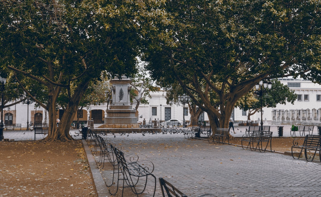 Landscape photo spot Ciudad Colonial Santo Domingo Este