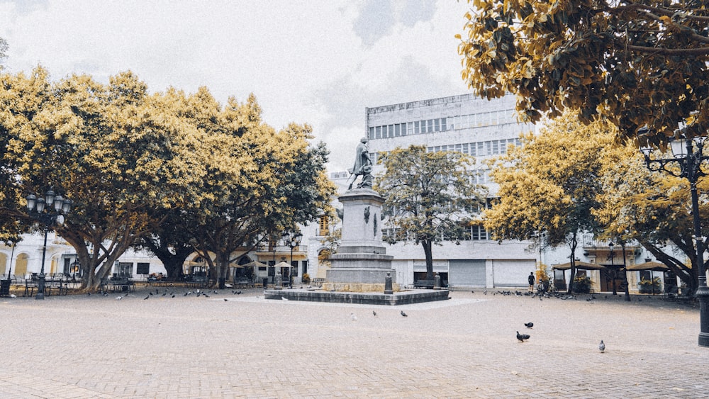 people walking on park near building during daytime