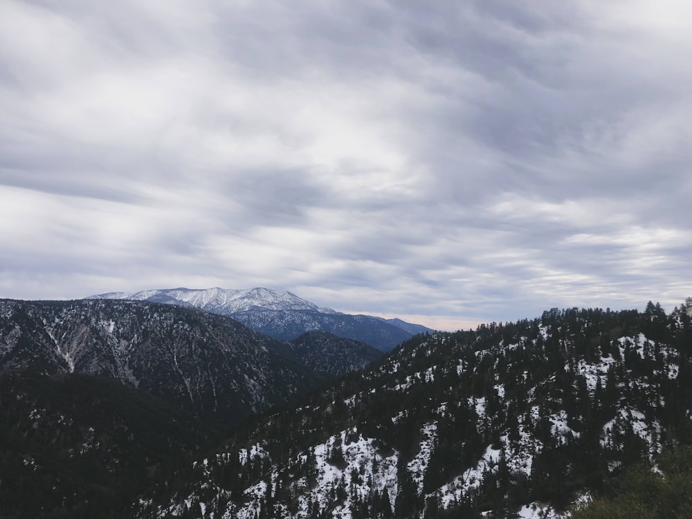 green trees on mountain under cloudy sky during daytime