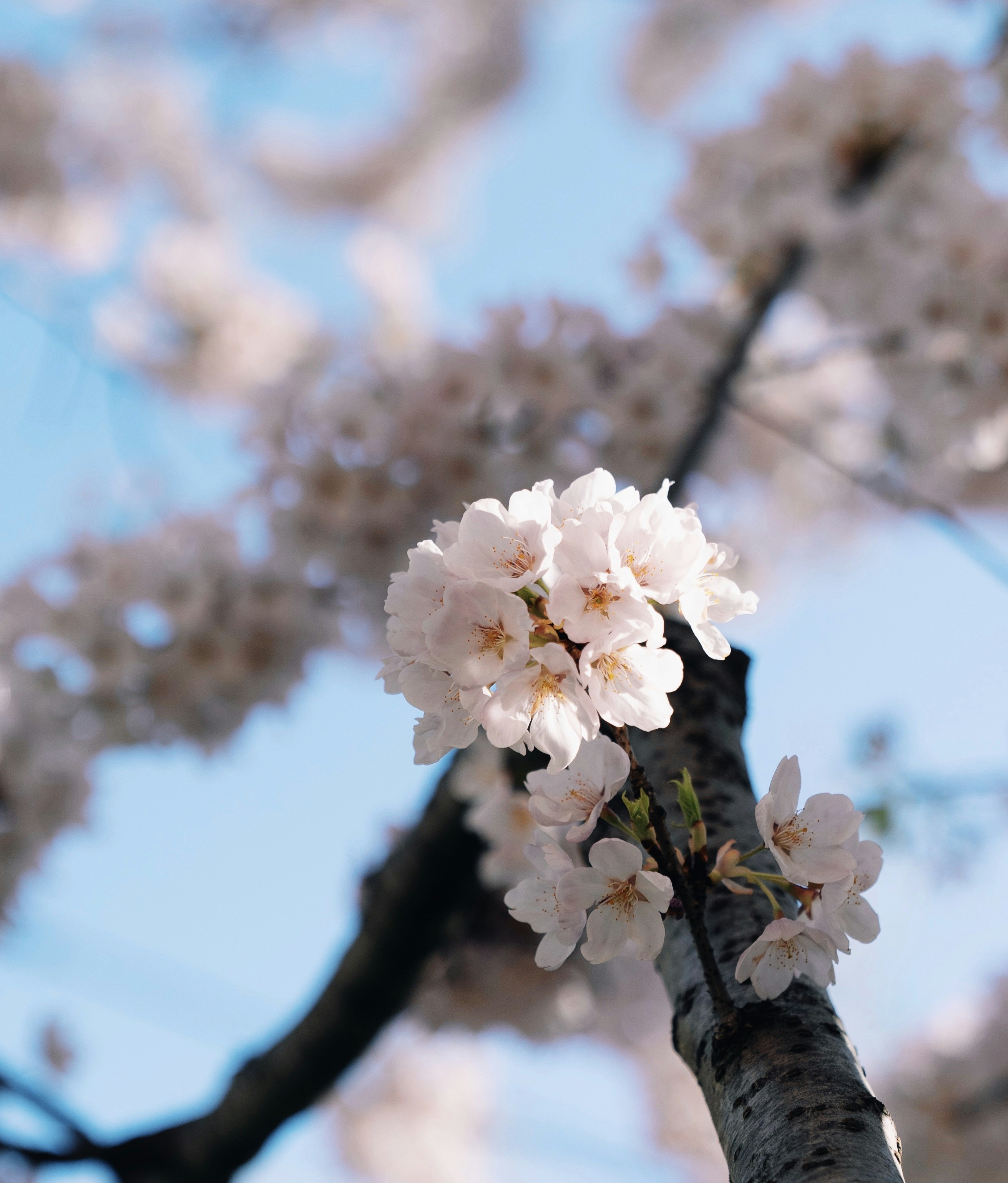 Photo by ycbrphotography