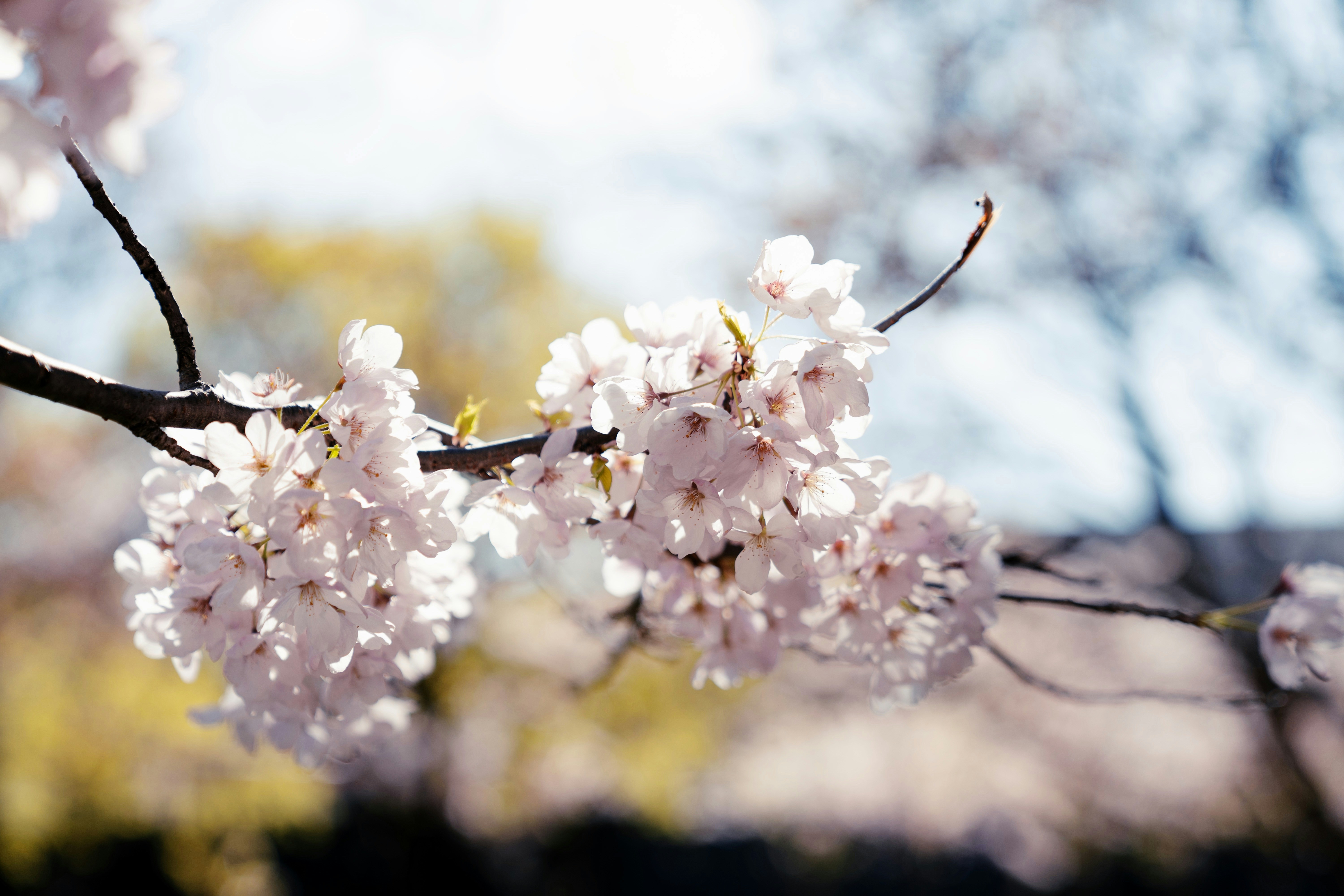 Photo by ycbrphotography