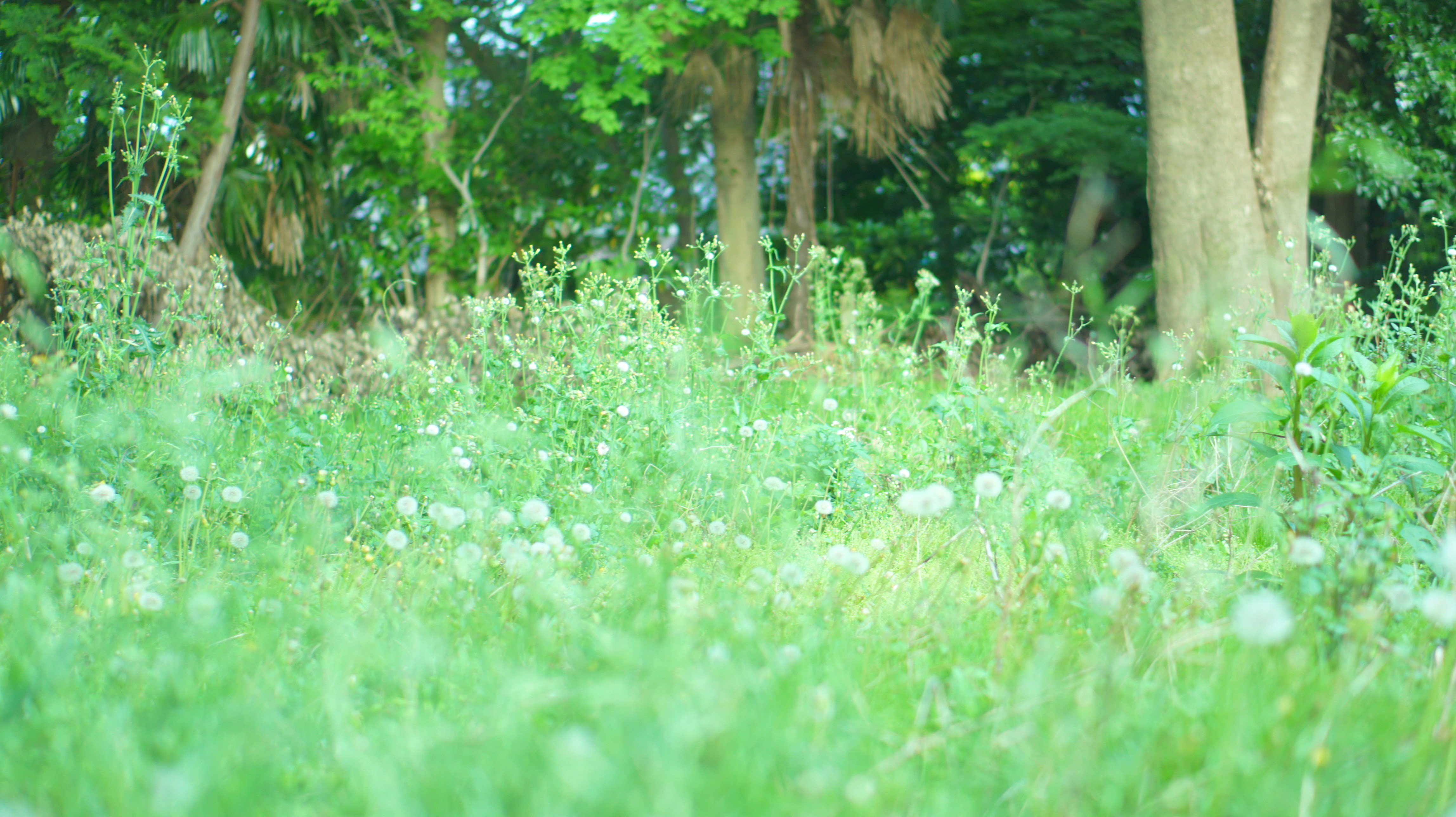 Photo by kiyomishiomura