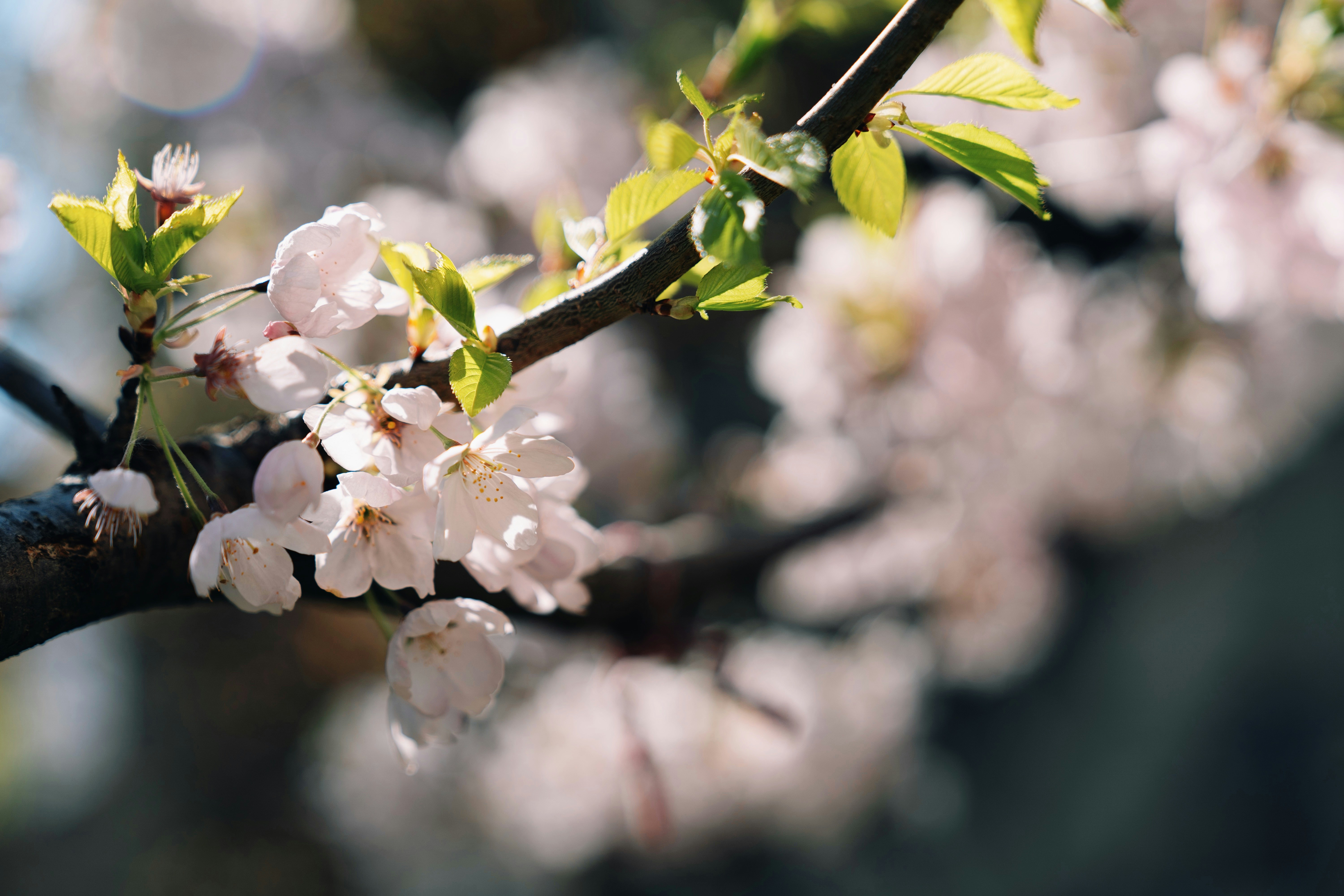 Photo by ycbrphotography