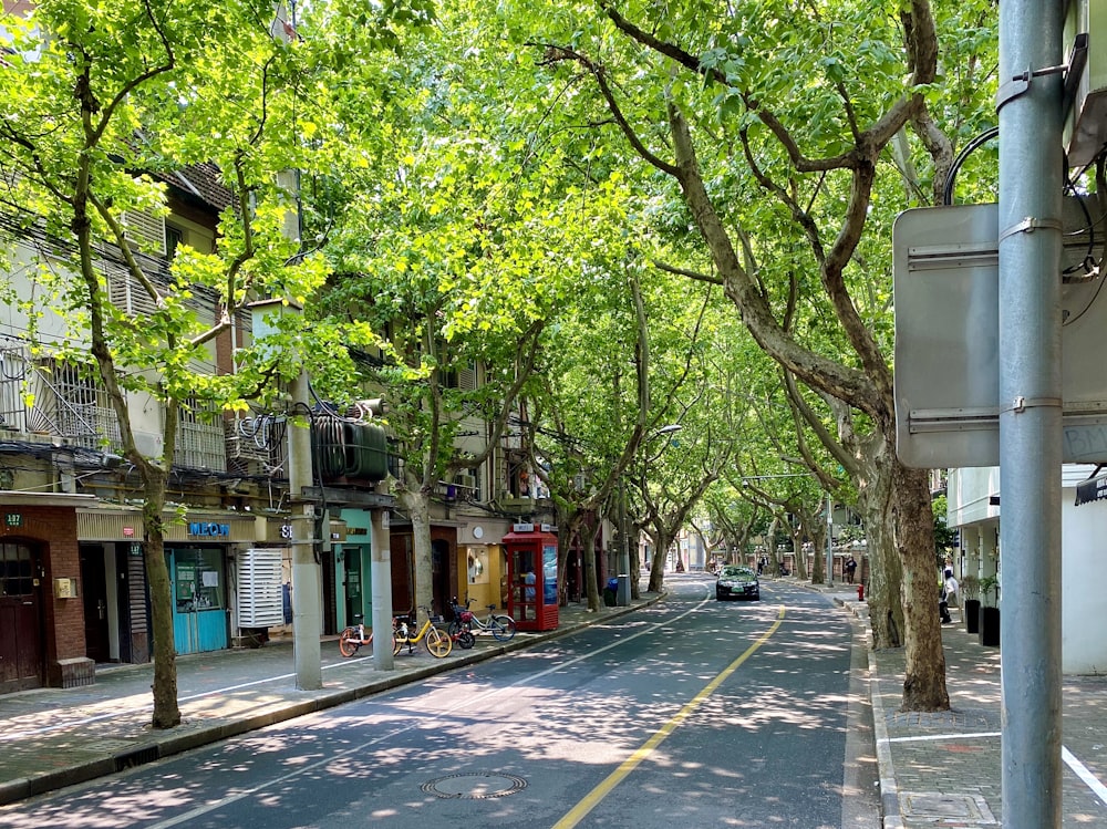 green trees beside gray concrete road during daytime