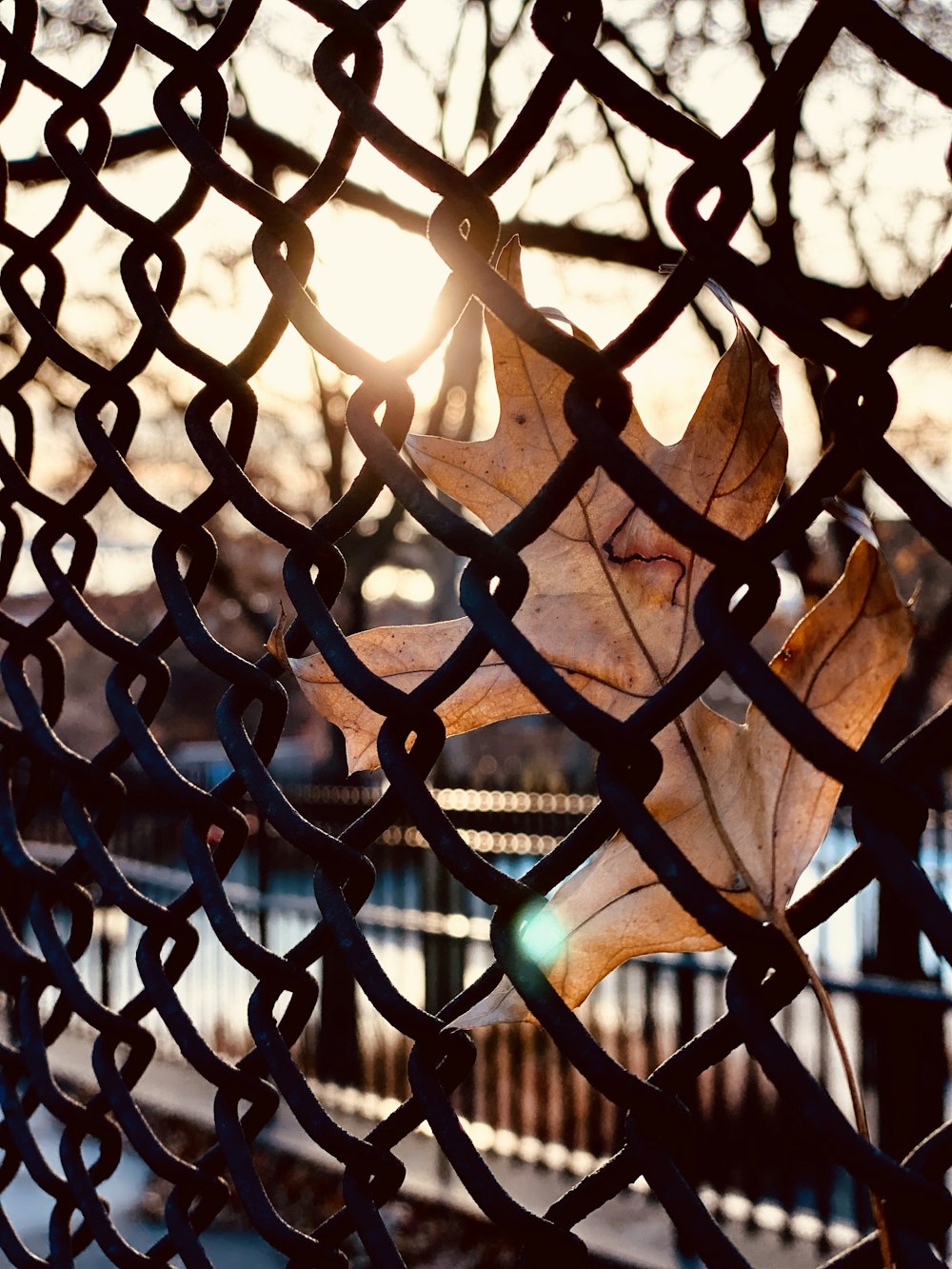 black metal fence during daytime