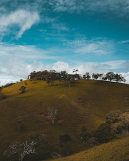 A peaceful green lot surrounded by rolling hills under a bright blue sky in Nariño.