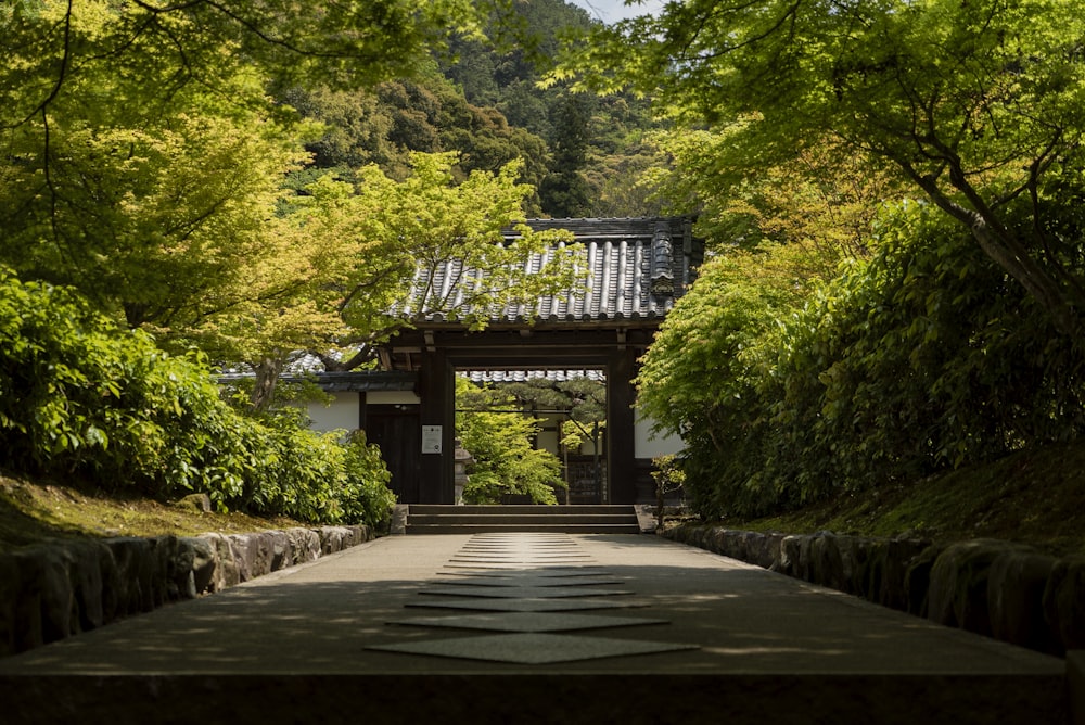 brown wooden pathway in between green trees