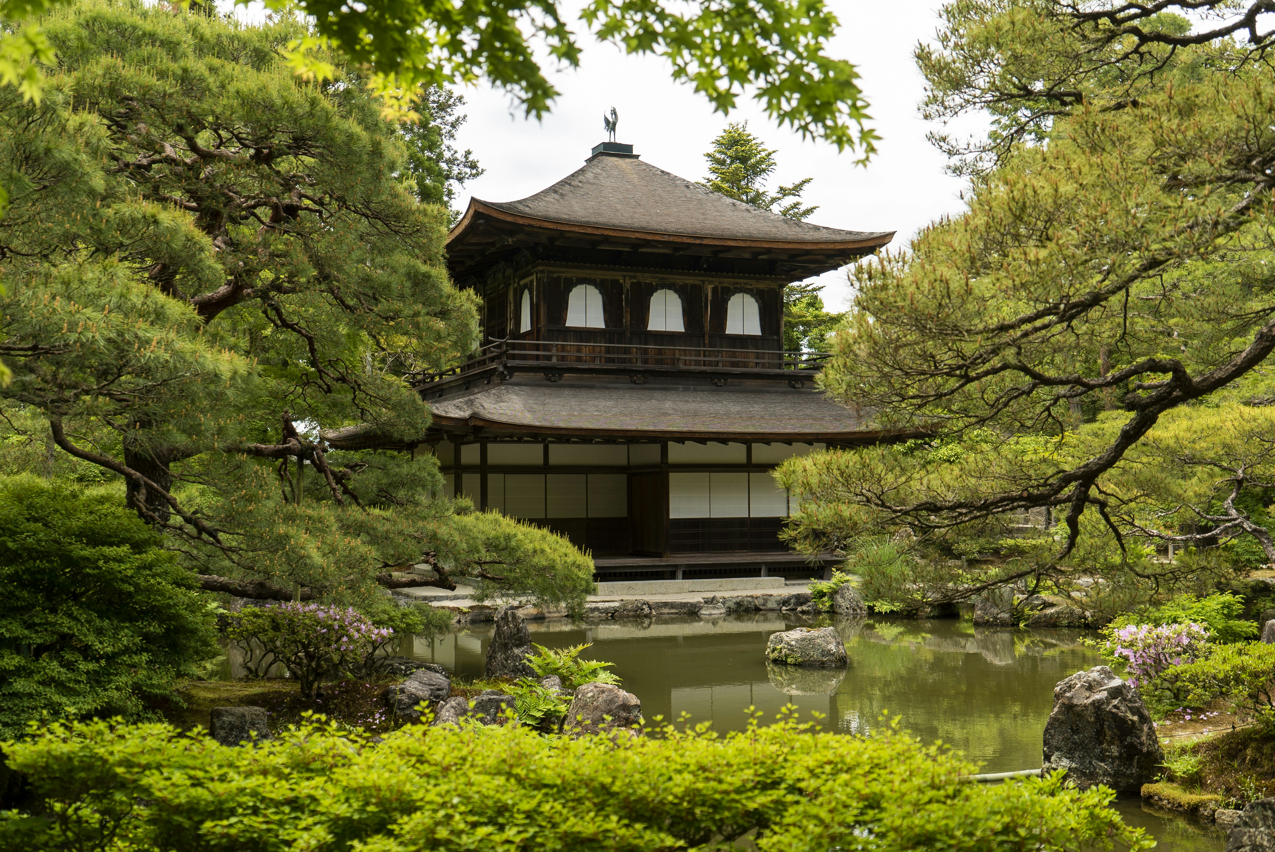 Photo by davidemrich