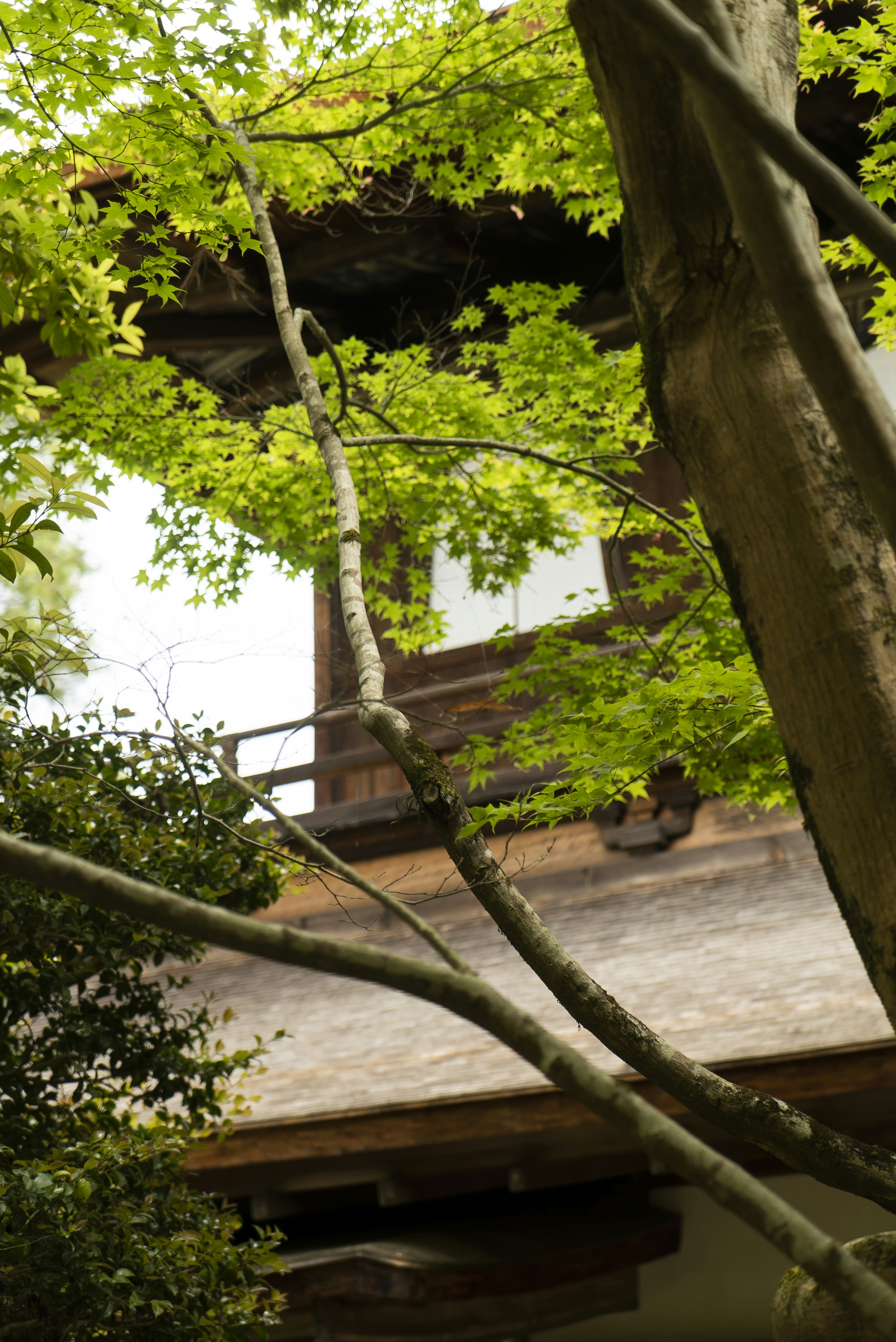 Photo by davidemrich