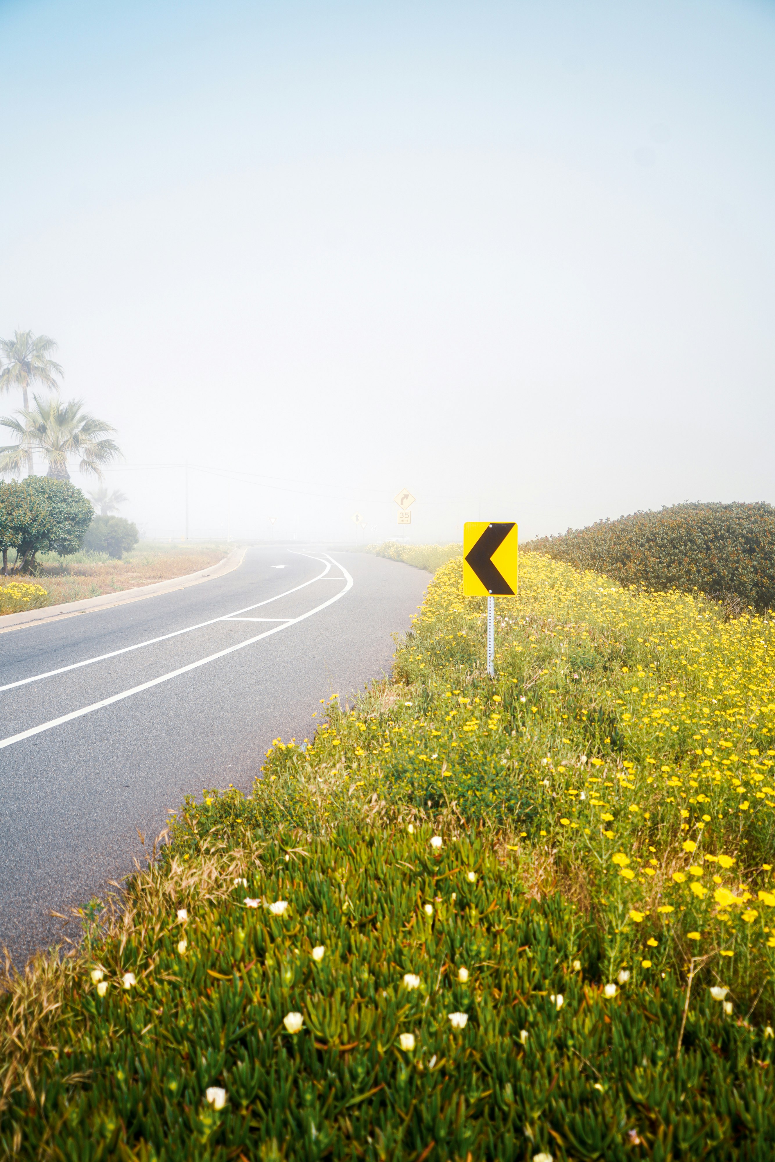 yellow and black road sign on green grass field