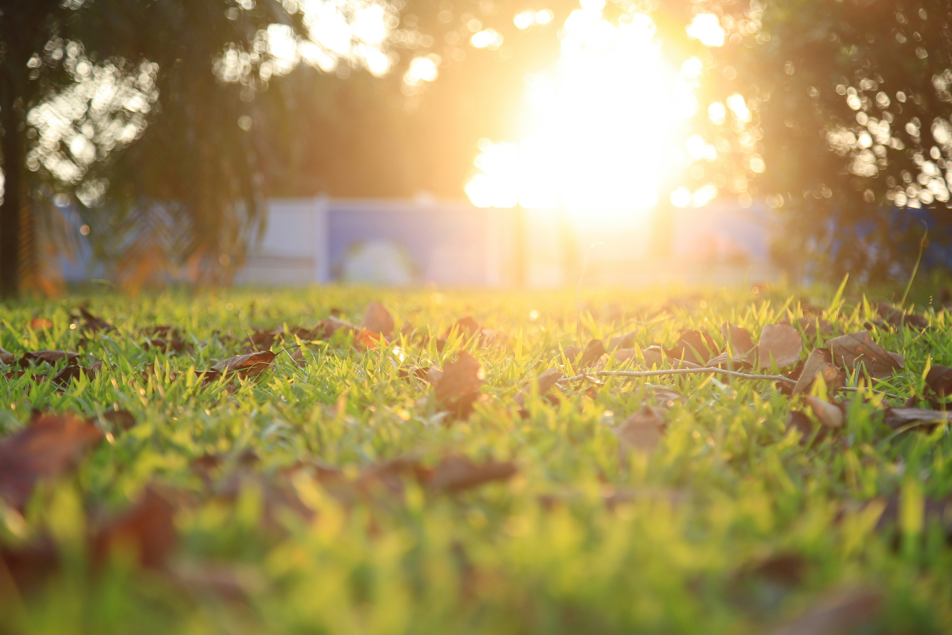 Photo by artanarchist