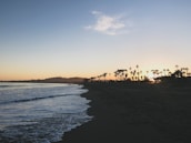 A scenic view of palm trees lining a quiet beach at sunset in Las Terrenas.