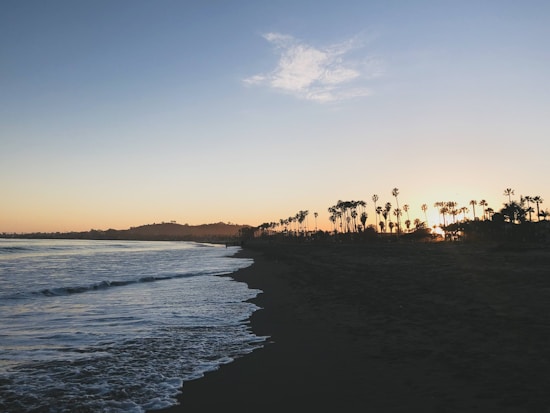 A scenic beach view at sunset with the horizon illuminated by the golden hues of the setting sun. Palm trees are silhouetted against the sky, and gentle waves lap against the dark sand.