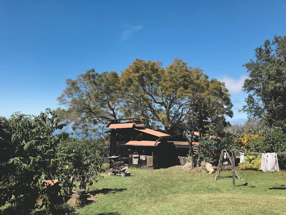 Cozy family house surrounded by a green garden under a clear blue sky