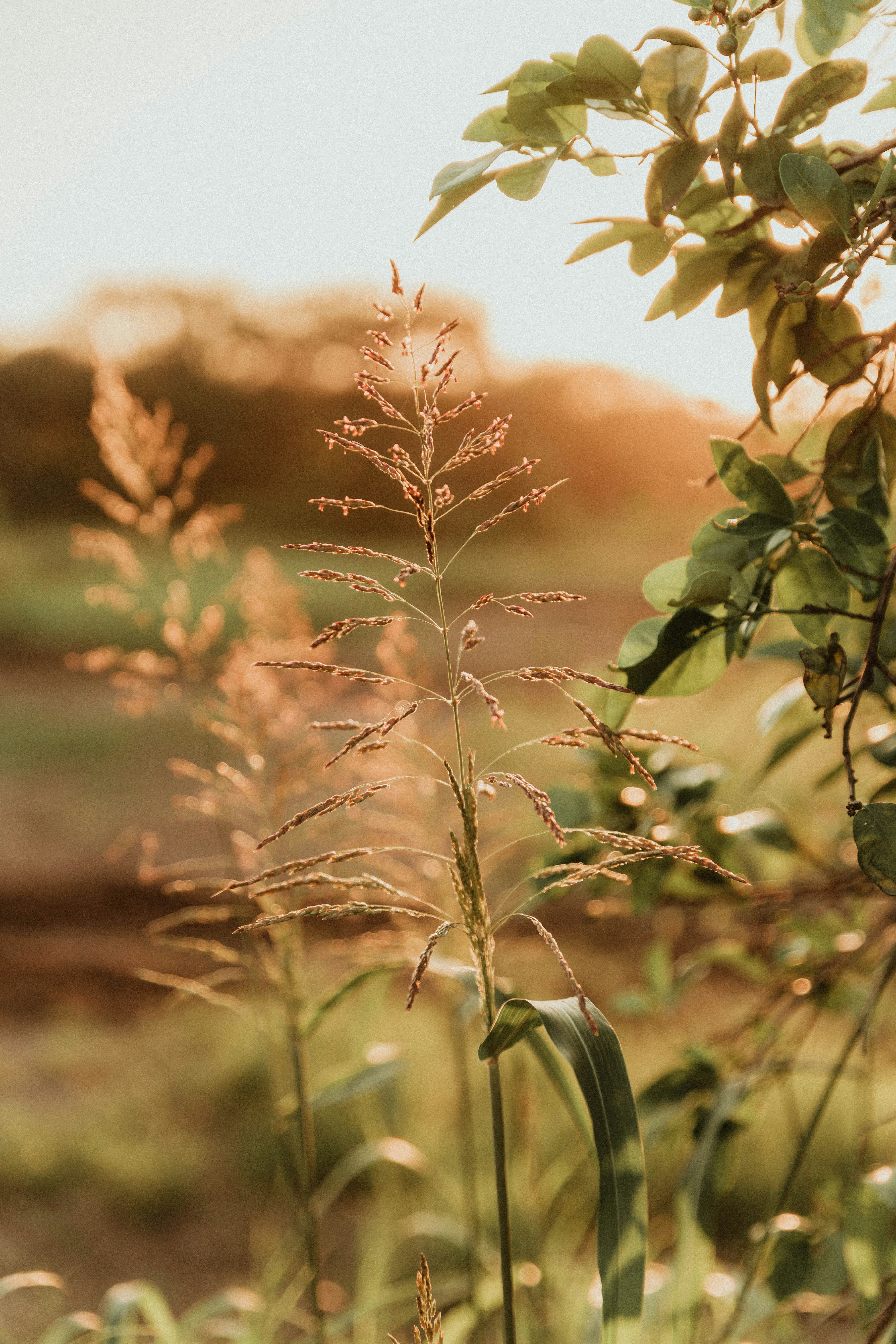 Photo by benignohoyuela