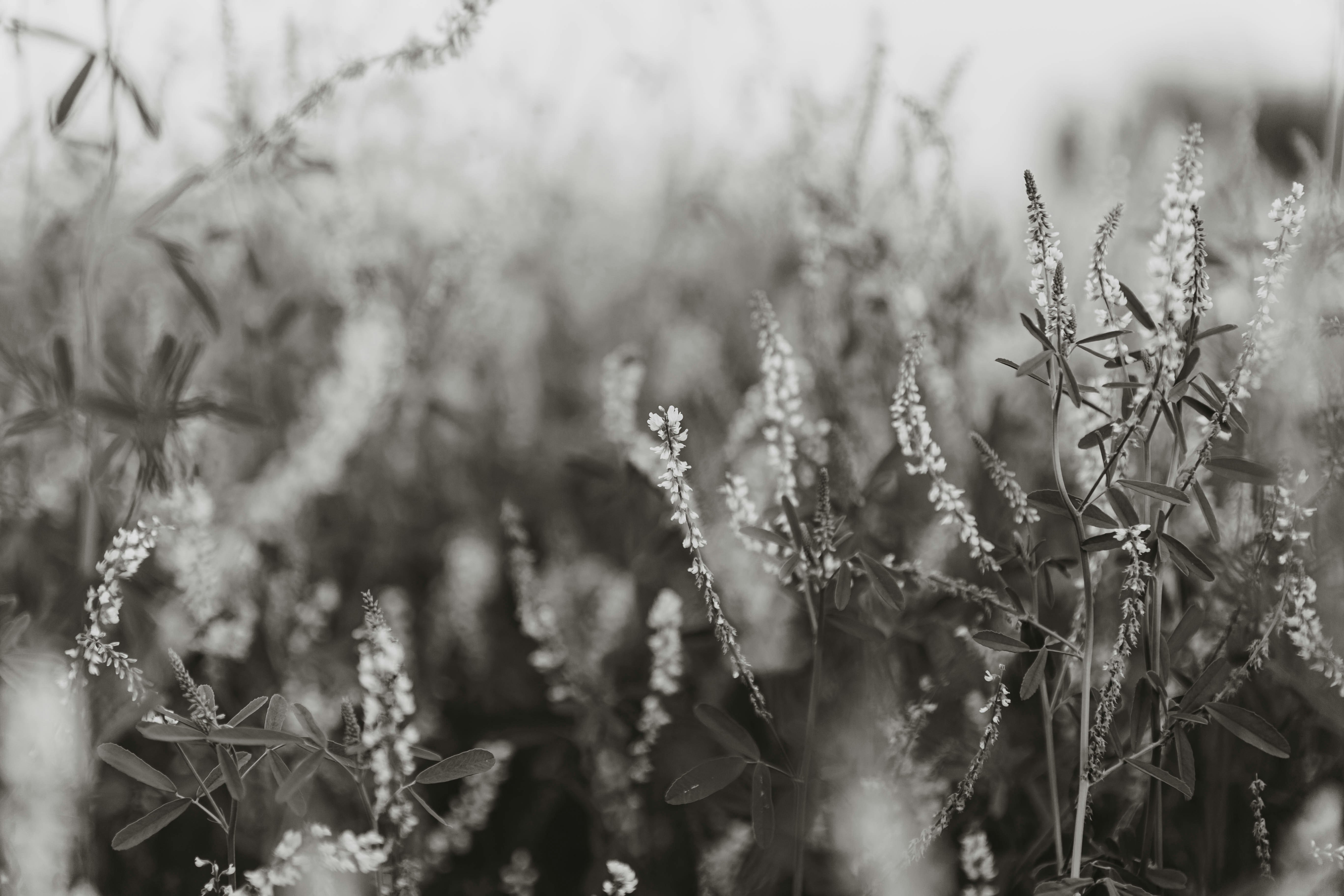 Photo by benignohoyuela