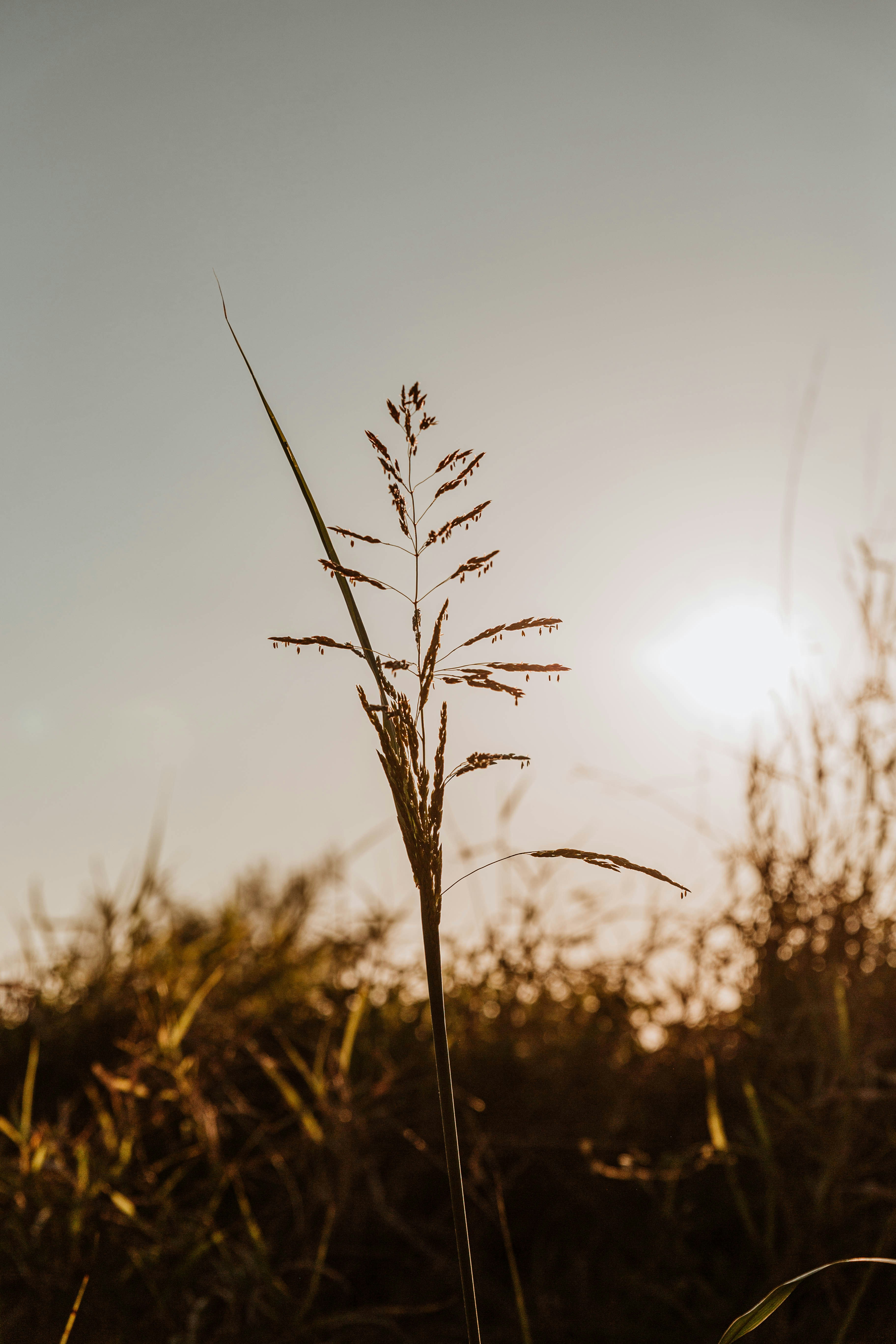 Photo by benignohoyuela