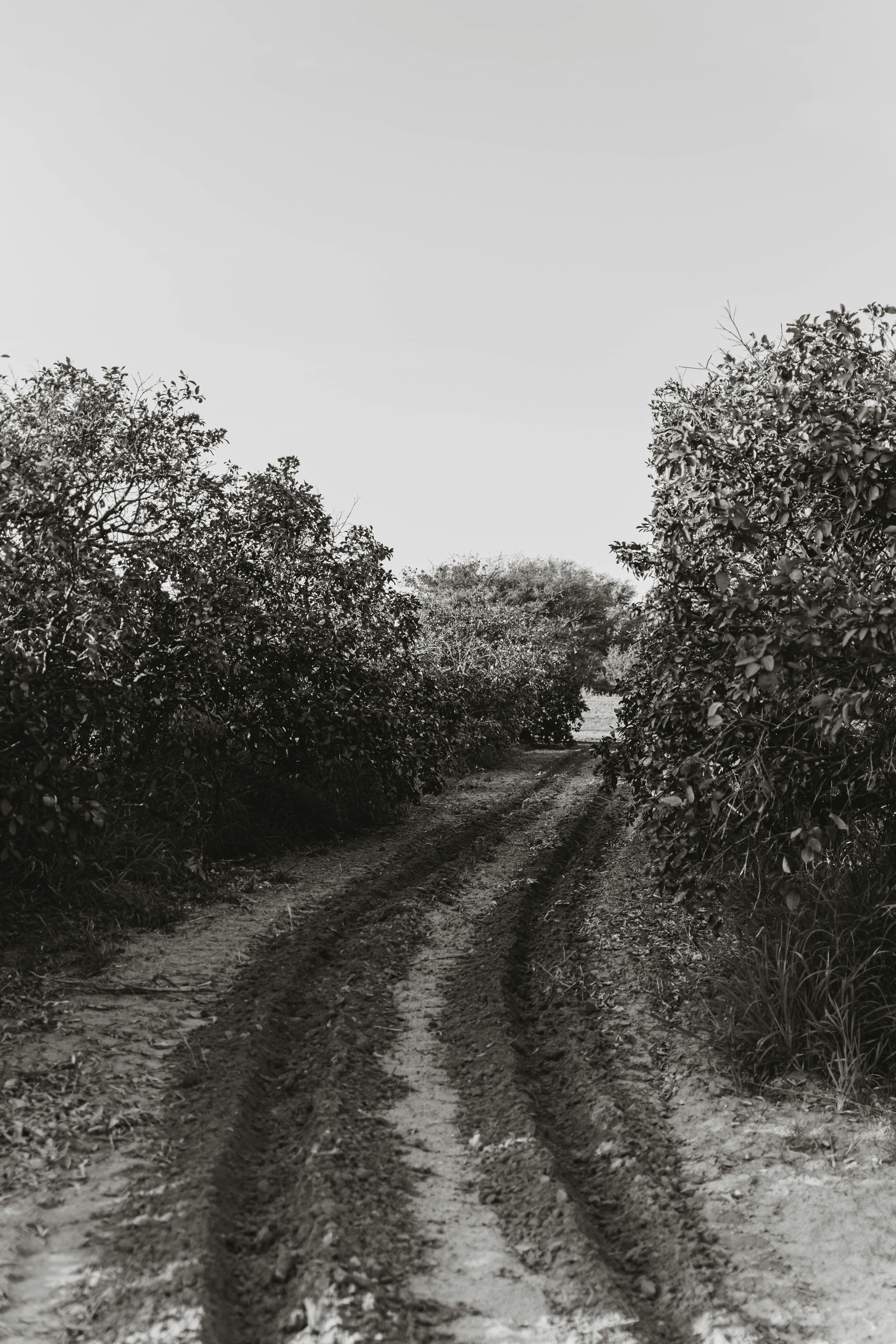 Photo by benignohoyuela