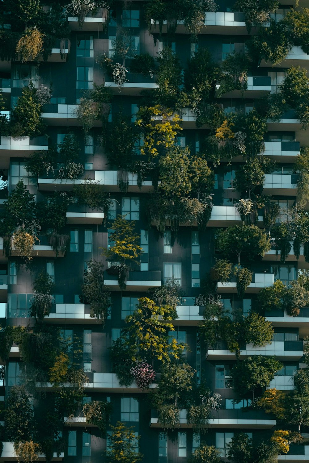 green and yellow trees during daytime