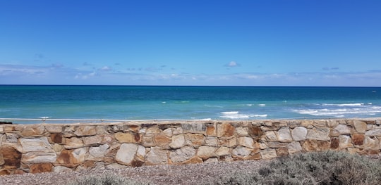 brown and gray rocks near body of water during daytime in West Beach South Australia Australia