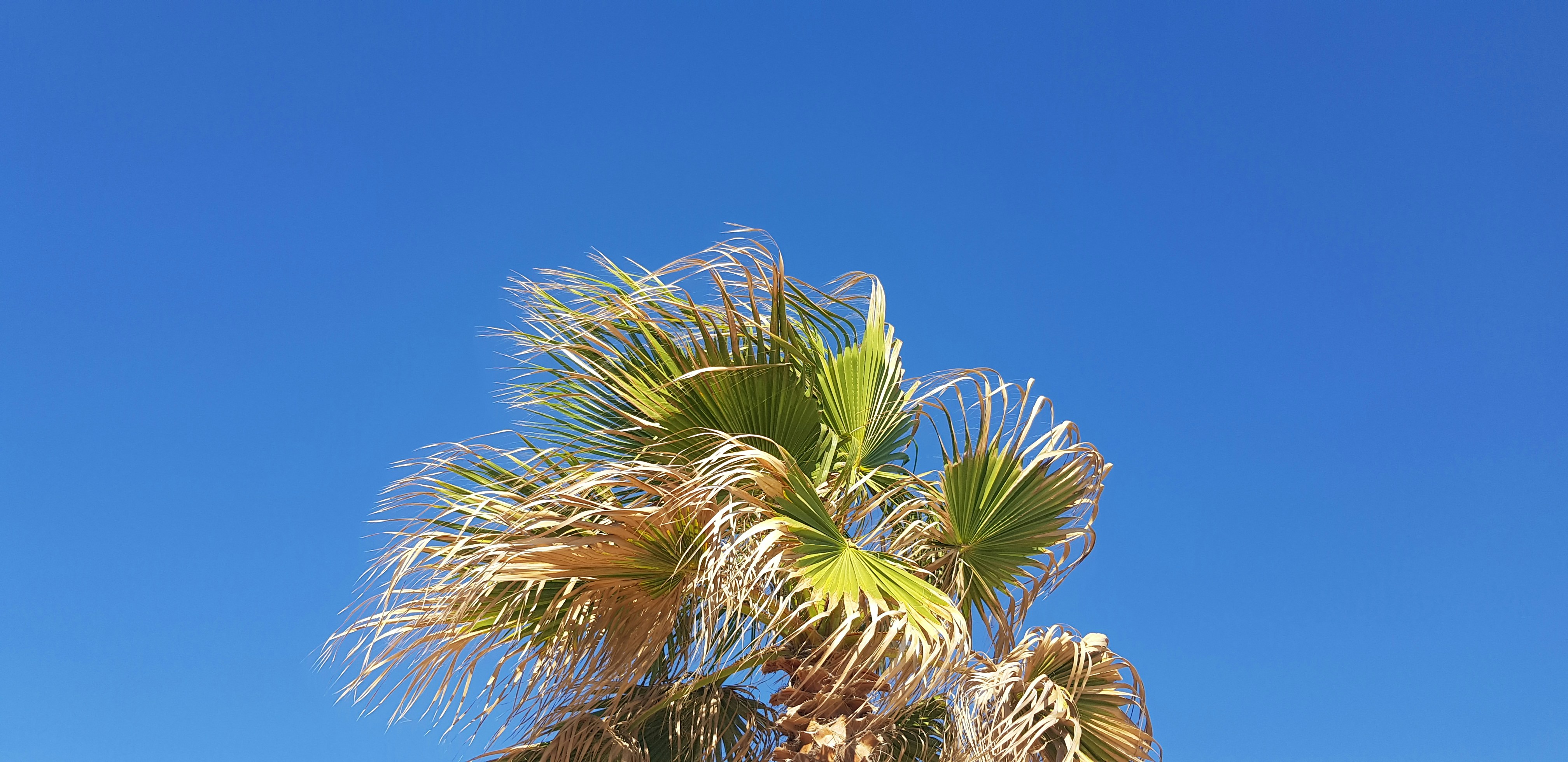 Photo by hadijasaidi