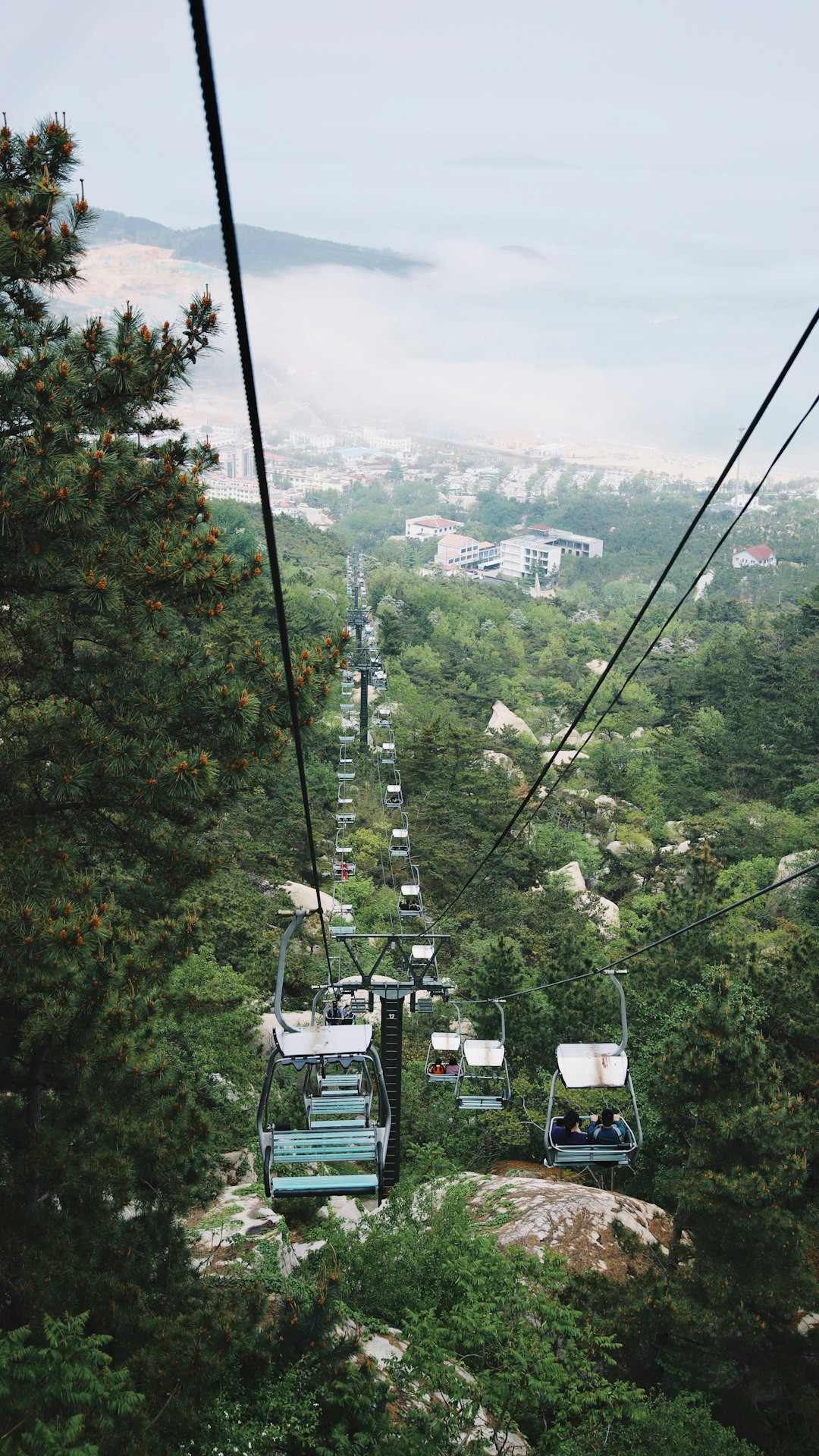 cable cars over green trees during daytime