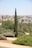 A tall, slender cypress tree stands prominently in a landscaped garden, surrounded by lush green bushes and trees. The background features a cityscape with multiple buildings and houses set against a clear blue sky.