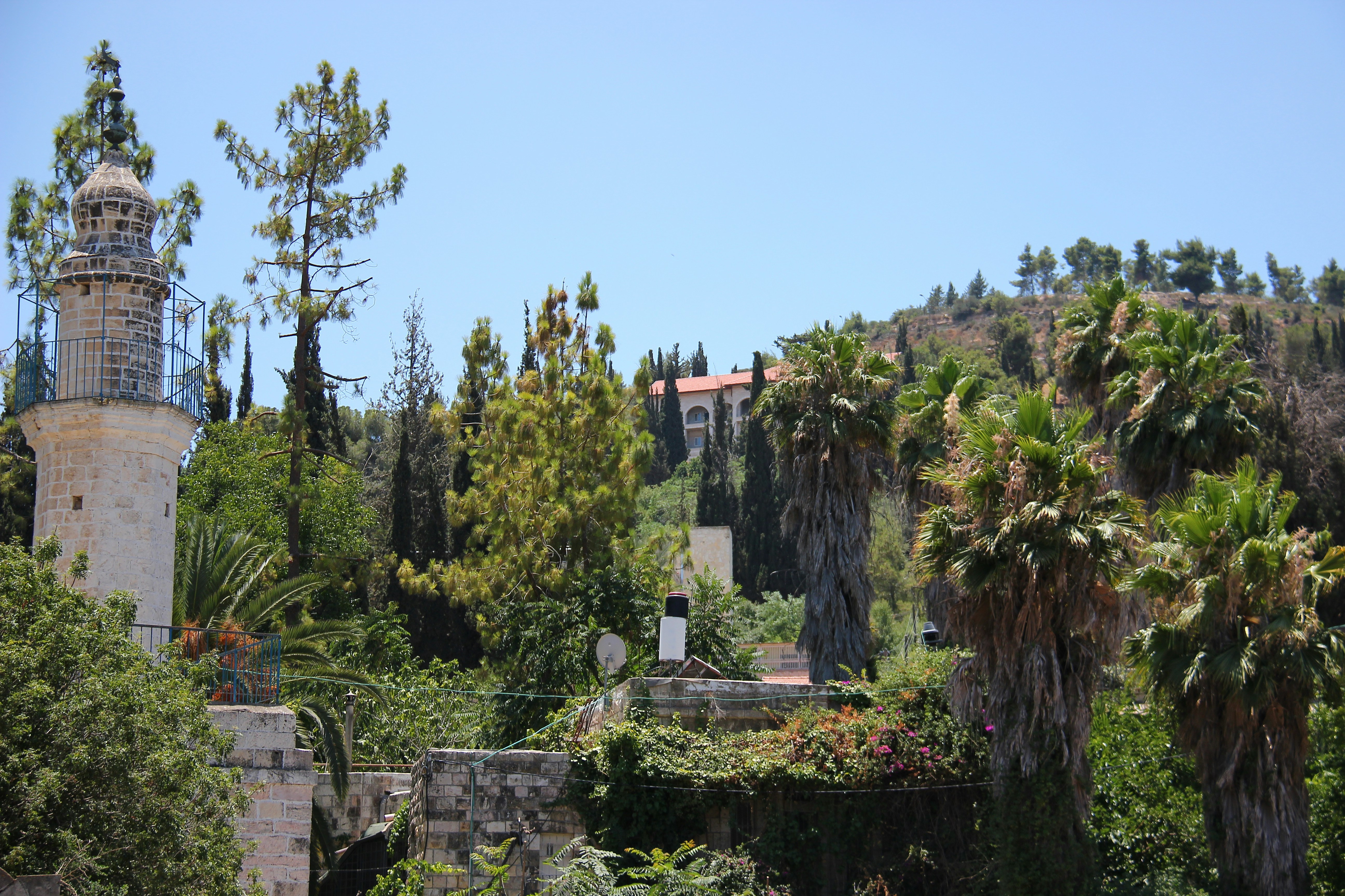 Photo by shalevcohen