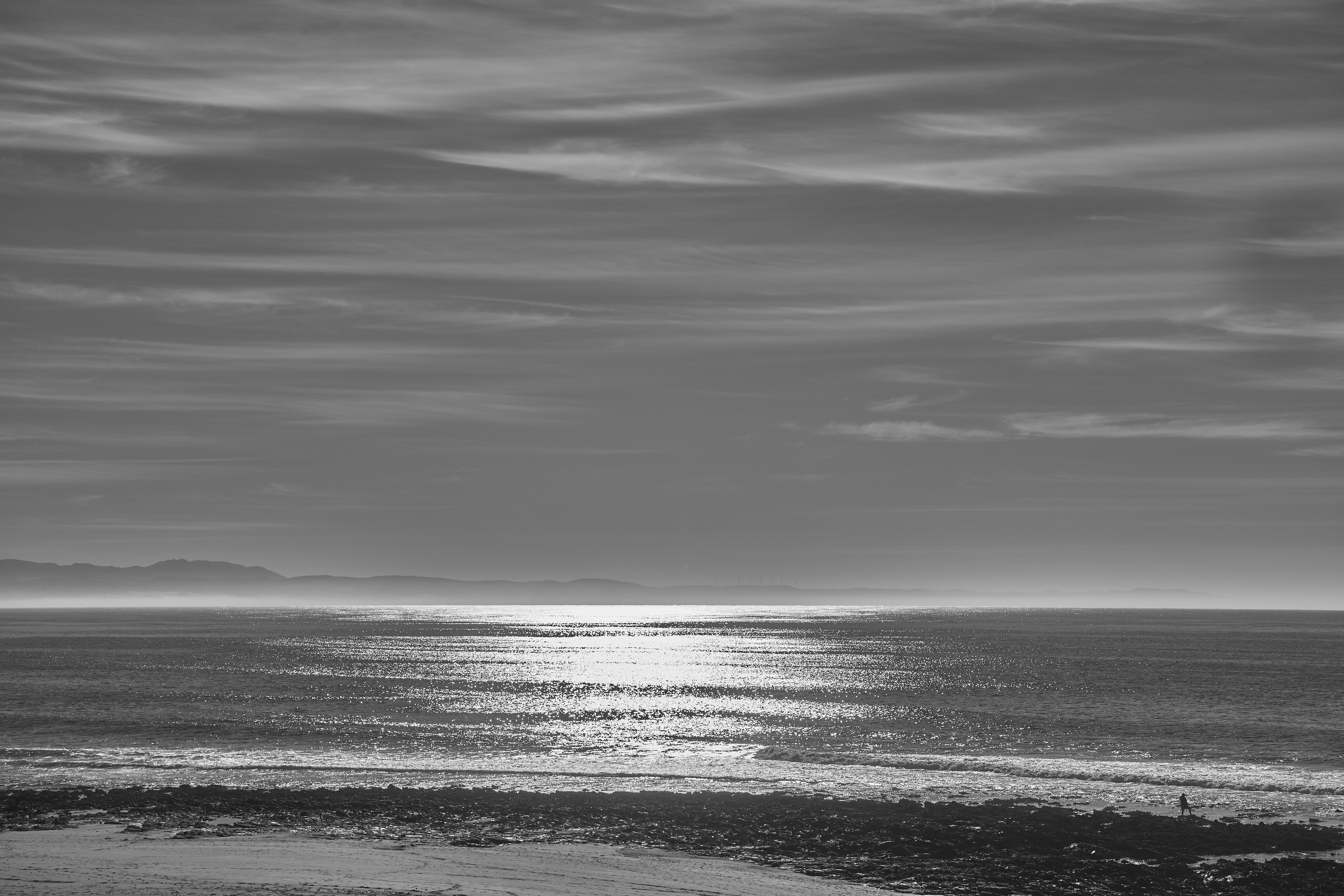 Photo by wolfgang_hasselmann