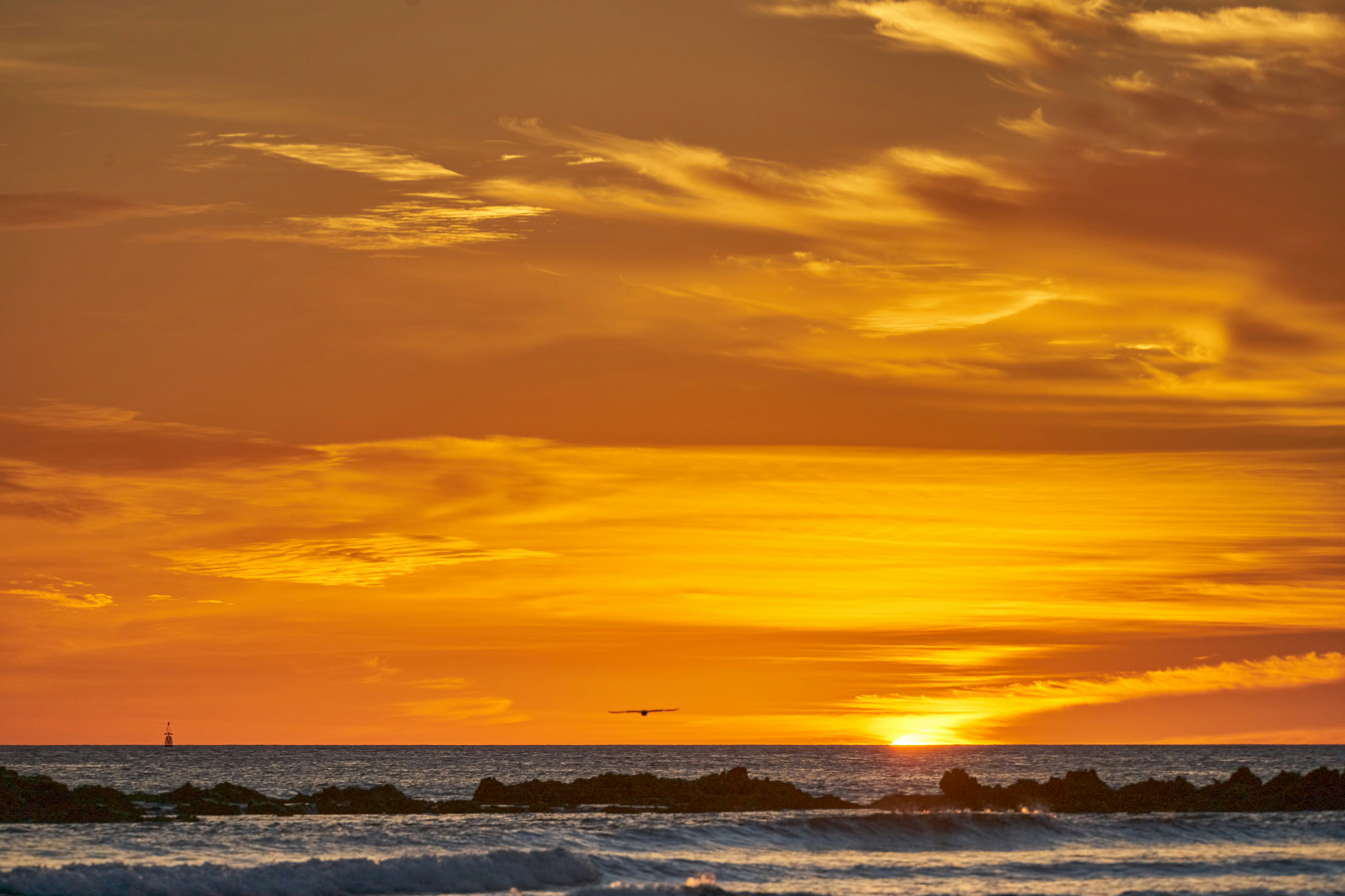 Photo by wolfgang_hasselmann