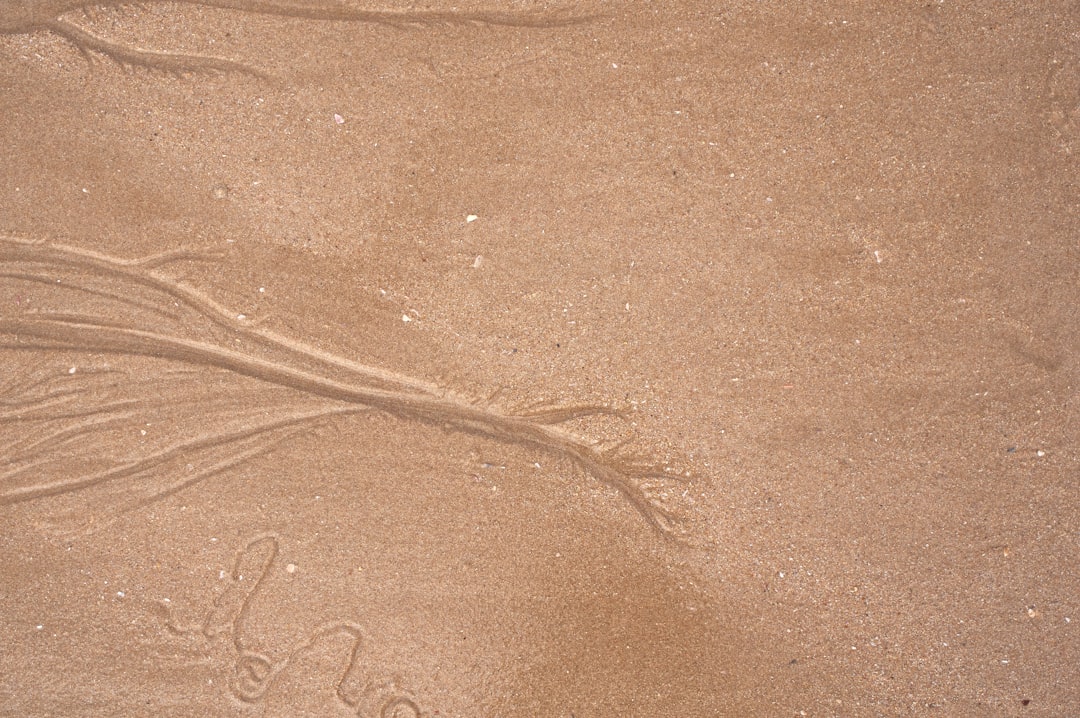 brown sand with brown sand