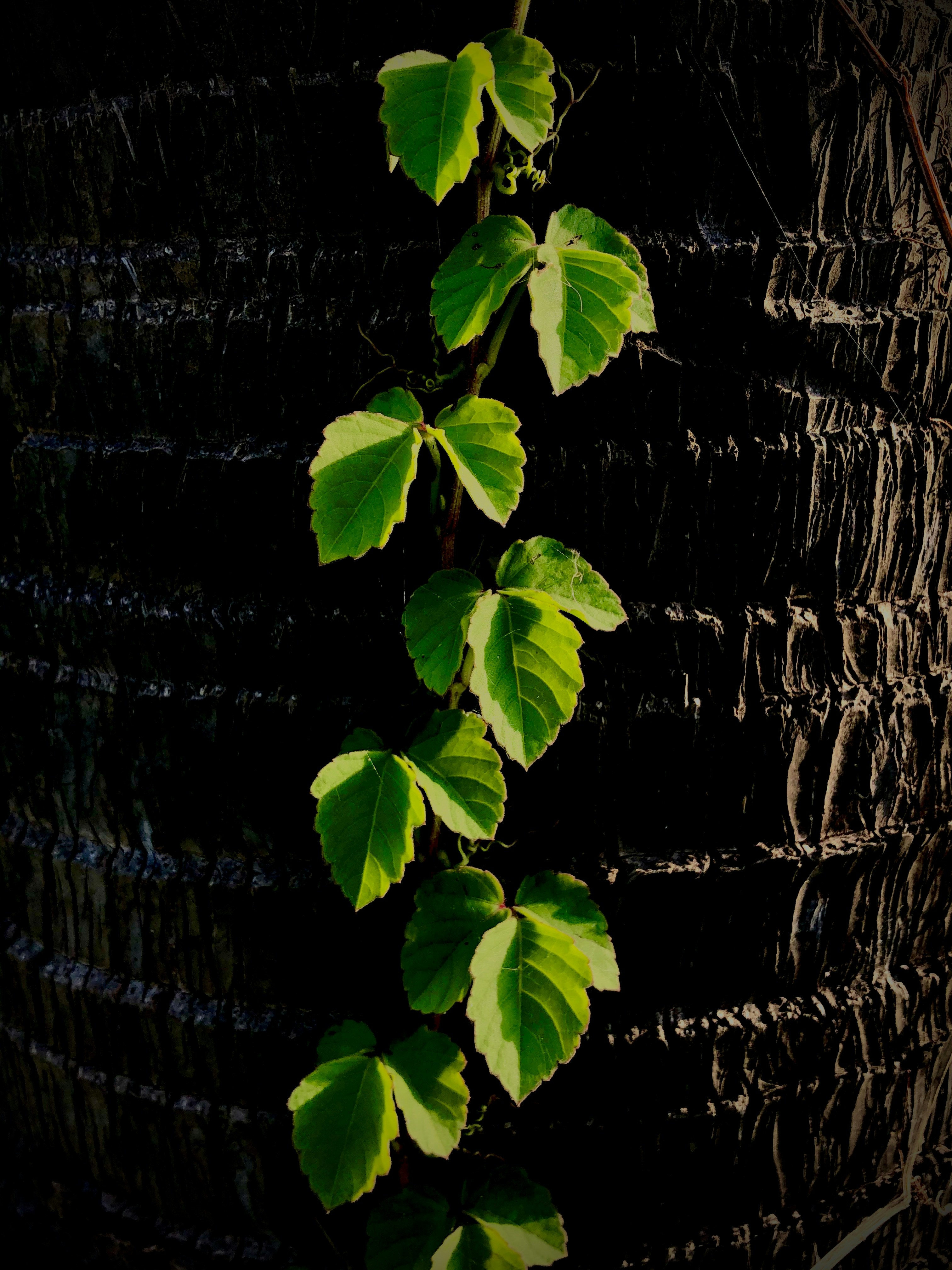 Photo by jasirshaik200071