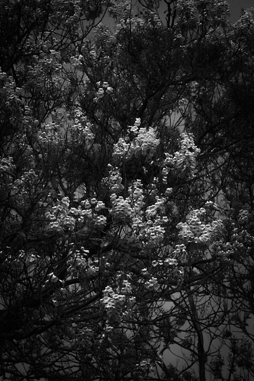 Sunny Landscape coloring page