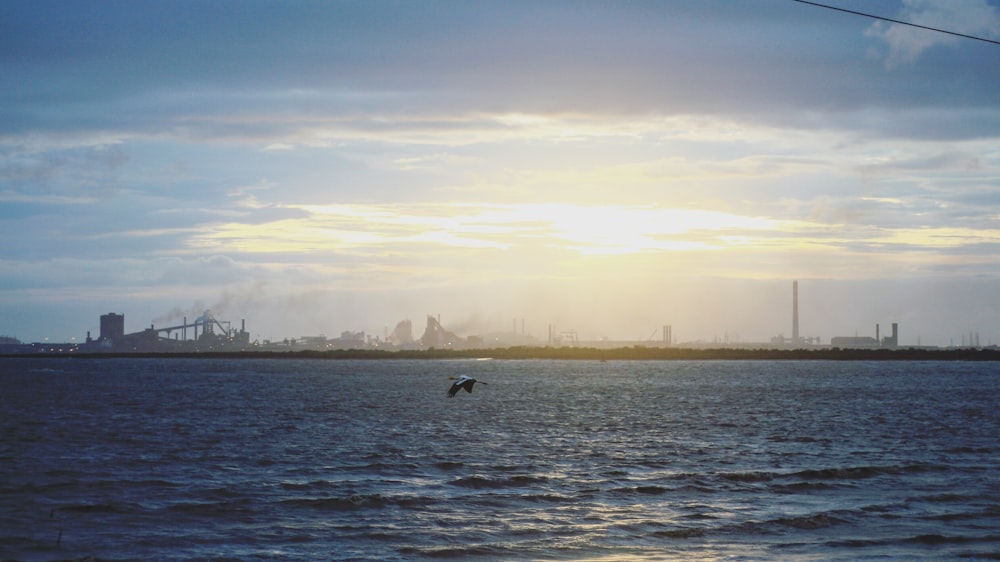 person surfing on sea during daytime