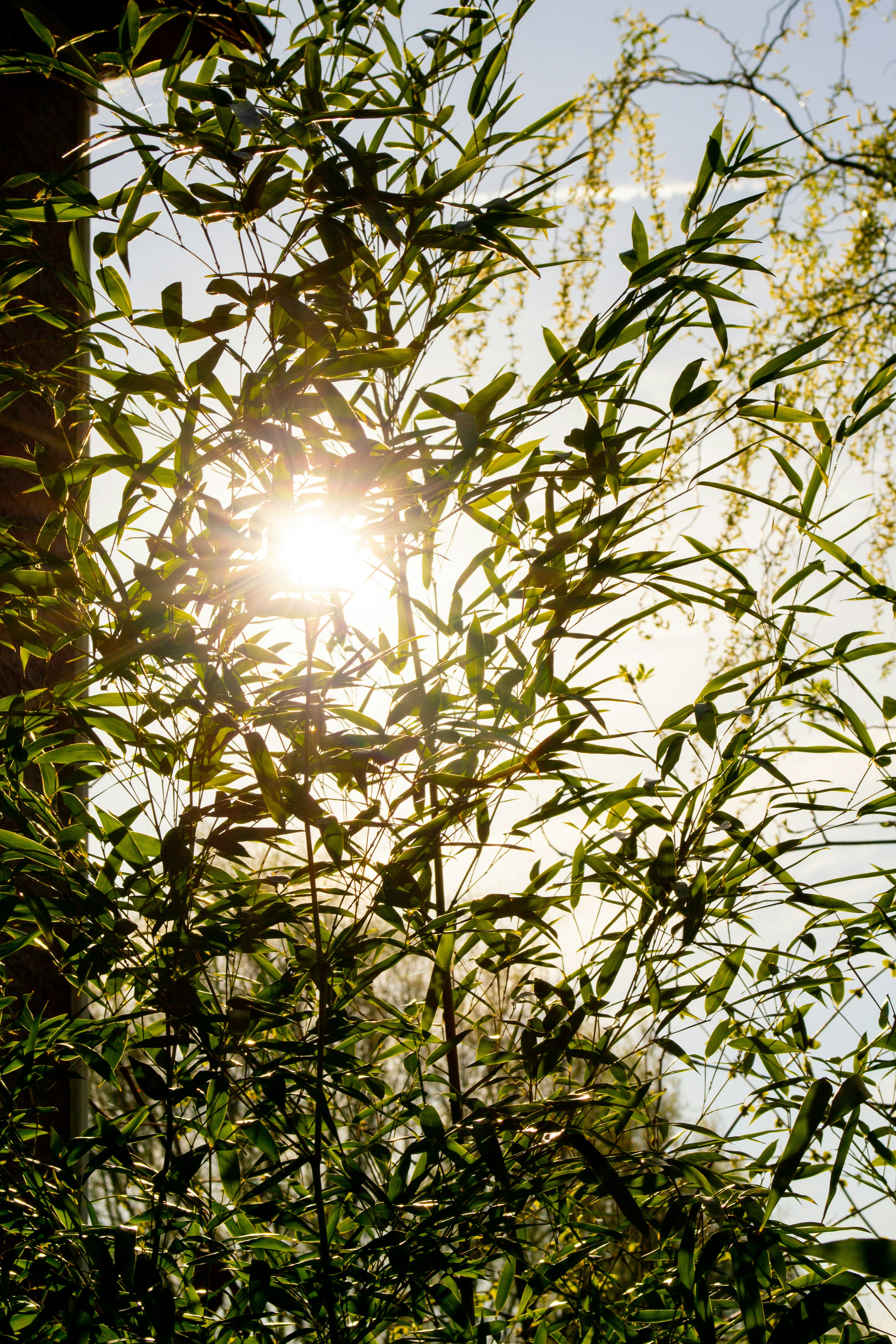 Photo by floriansavatry