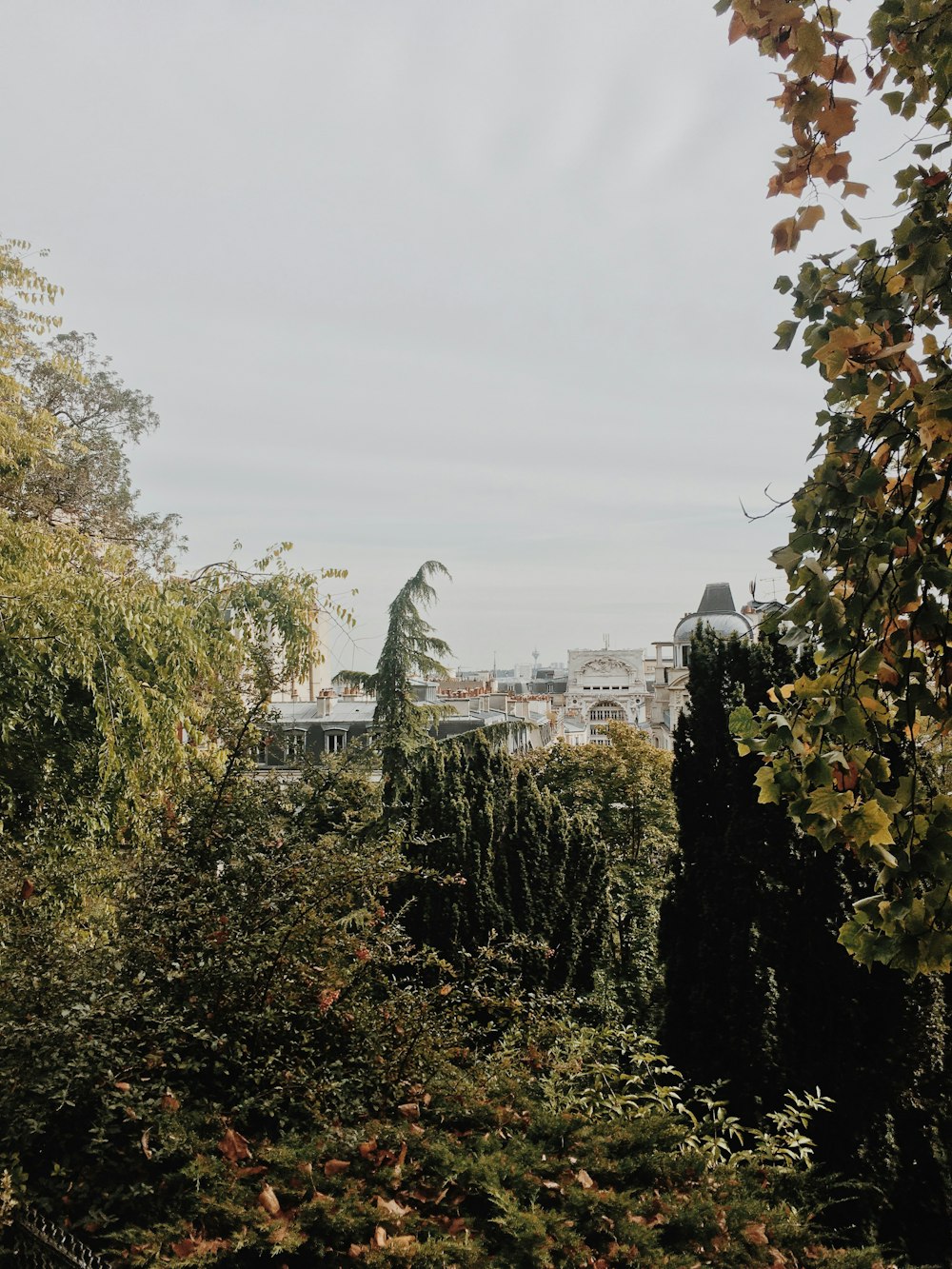 green trees near white concrete building during daytime