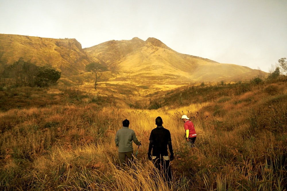 3 people standing on green grass field during daytime