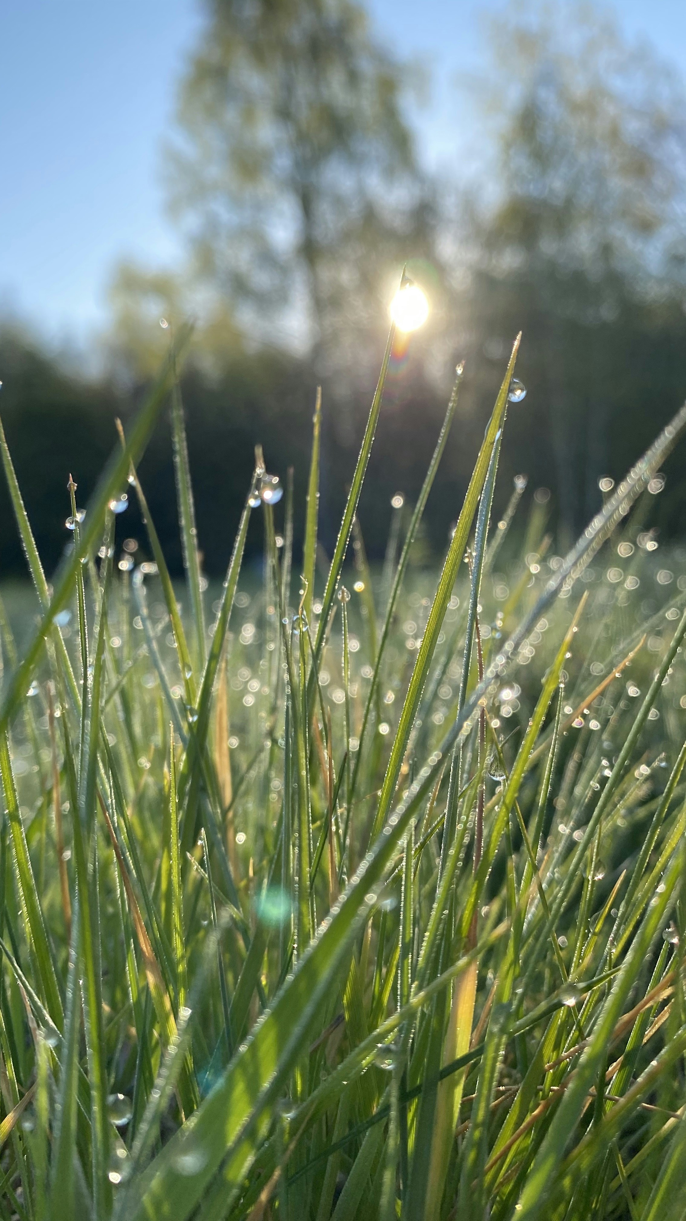 Photo by floriansavatry