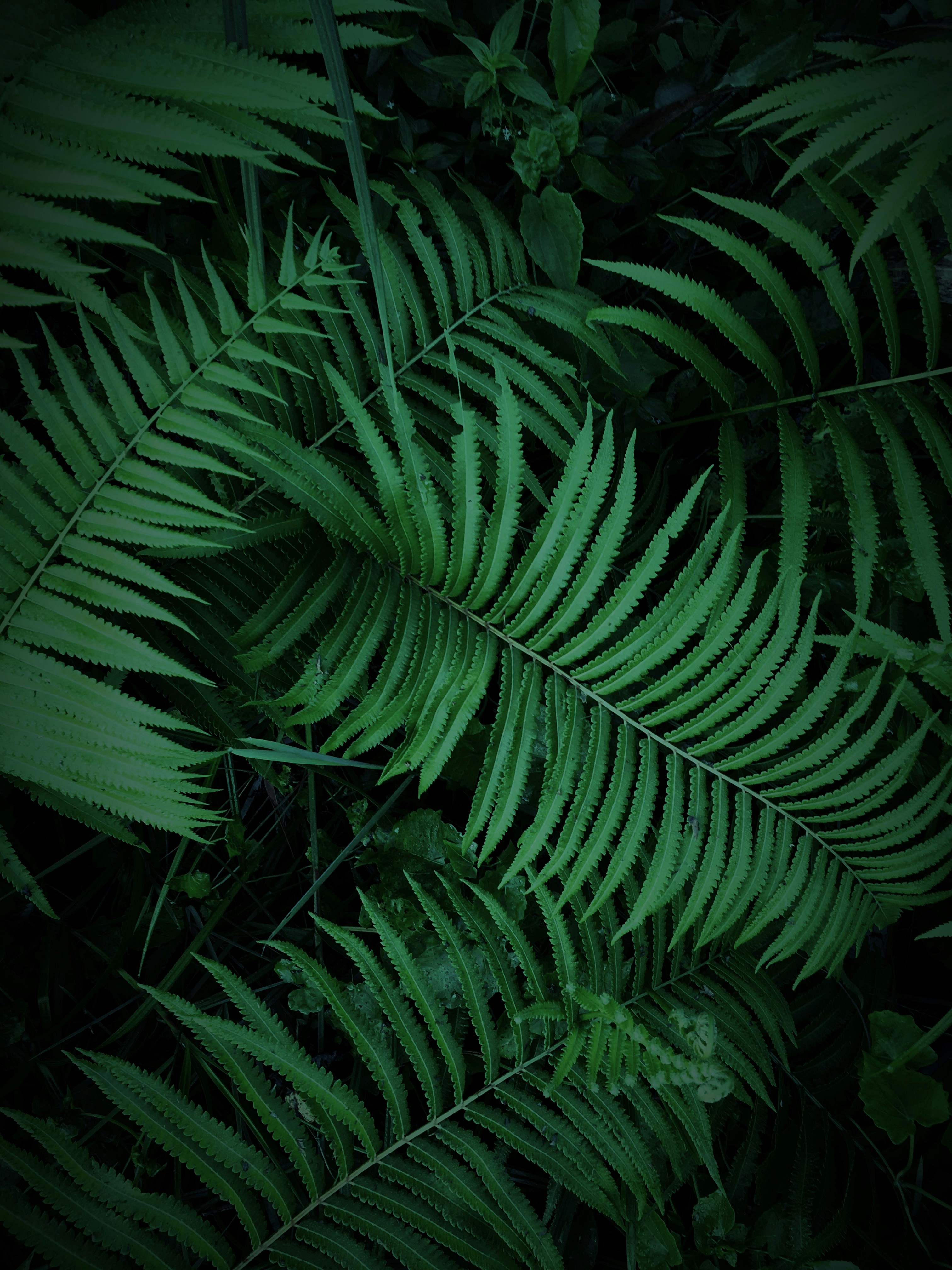 Photo by nadzimuddin_