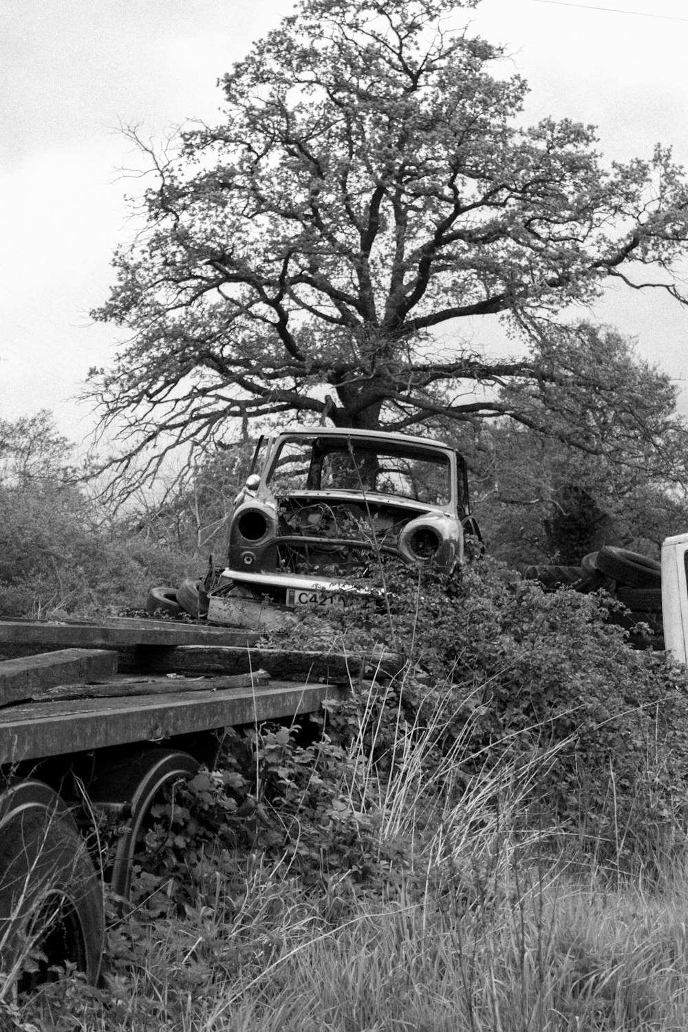 Photo en niveaux de gris d’une voiture ancienne au milieu de la forêt
