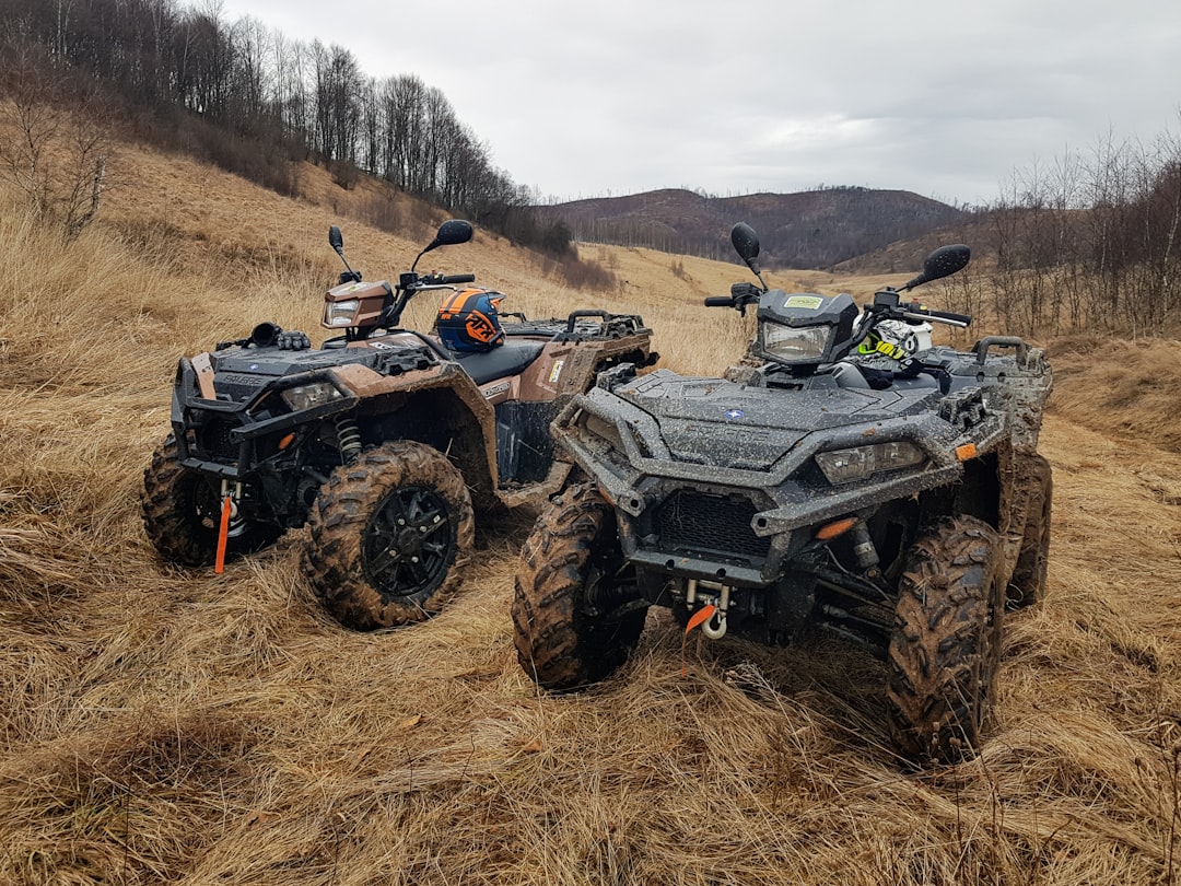 Image for ATVs service