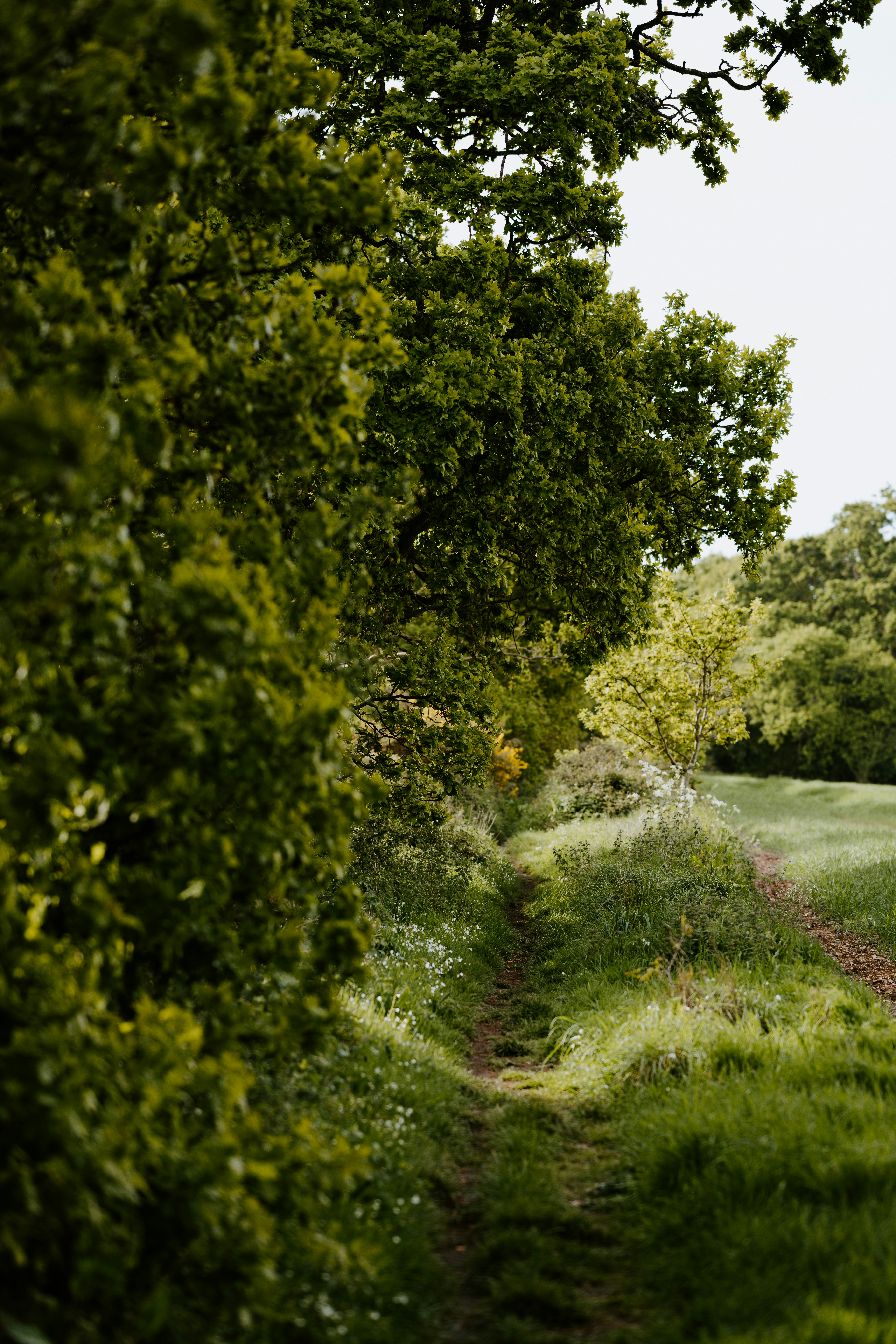 Photo by anniespratt